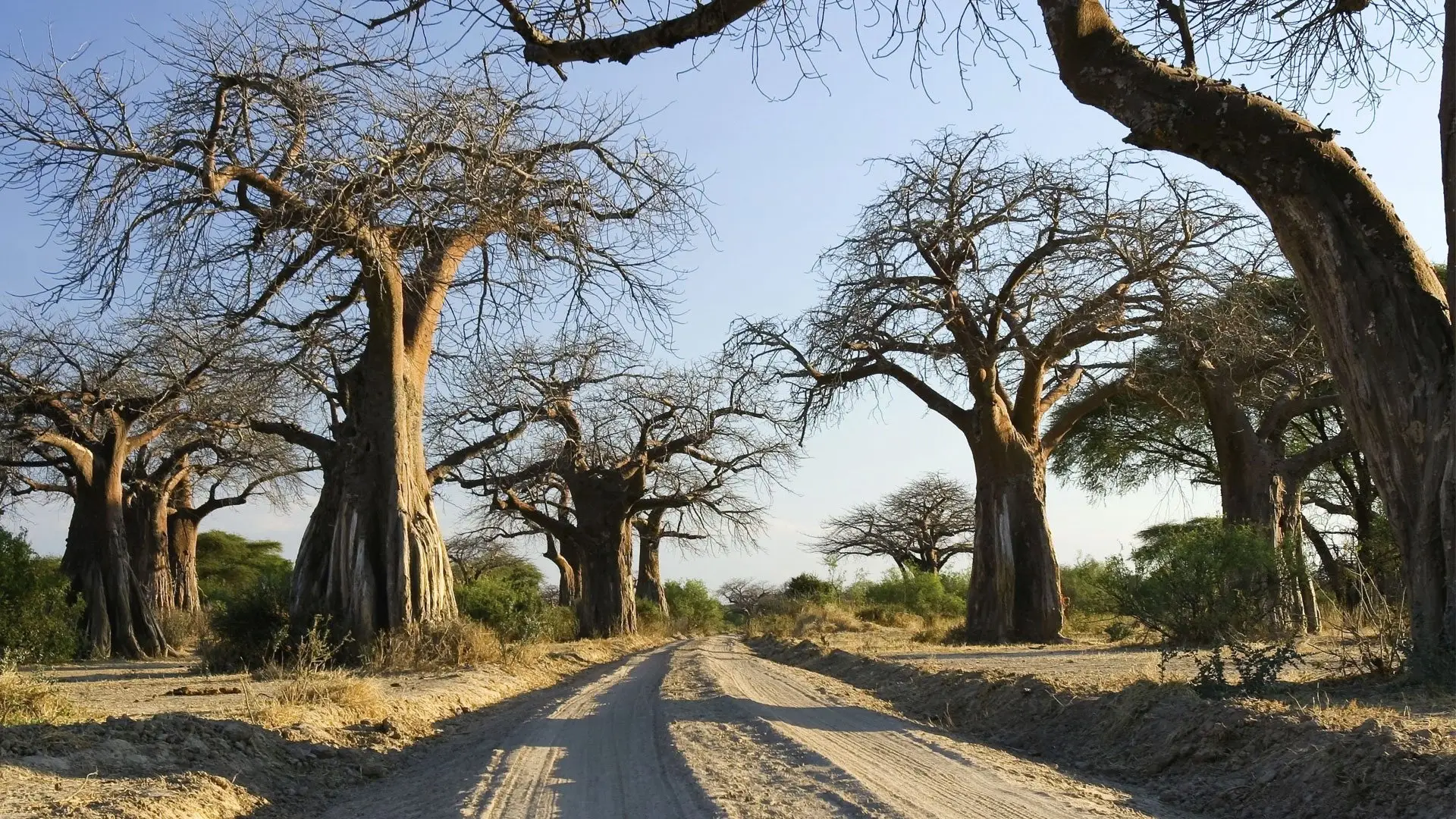 Ruaha