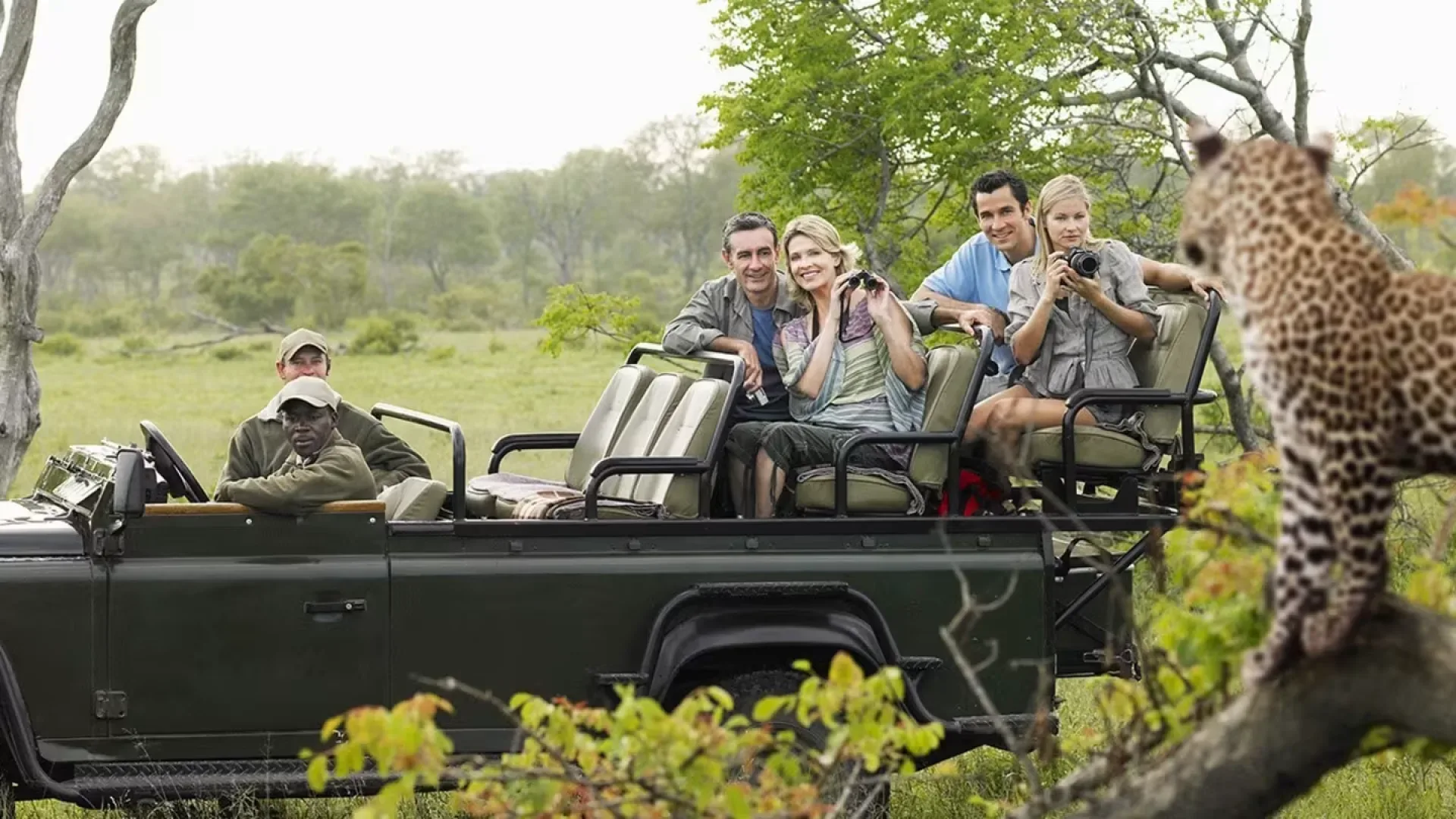 Safari Afrika im Juli: Die besten Reiseziele