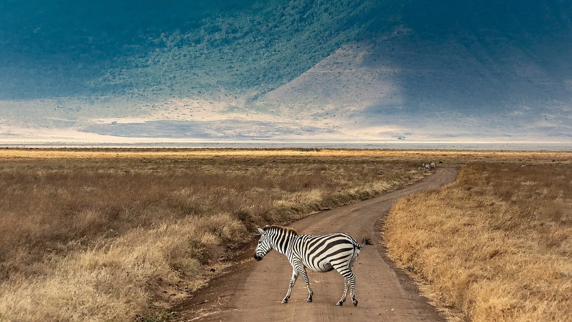 Safari Afrika Nebensaison: Preise & Vorteile