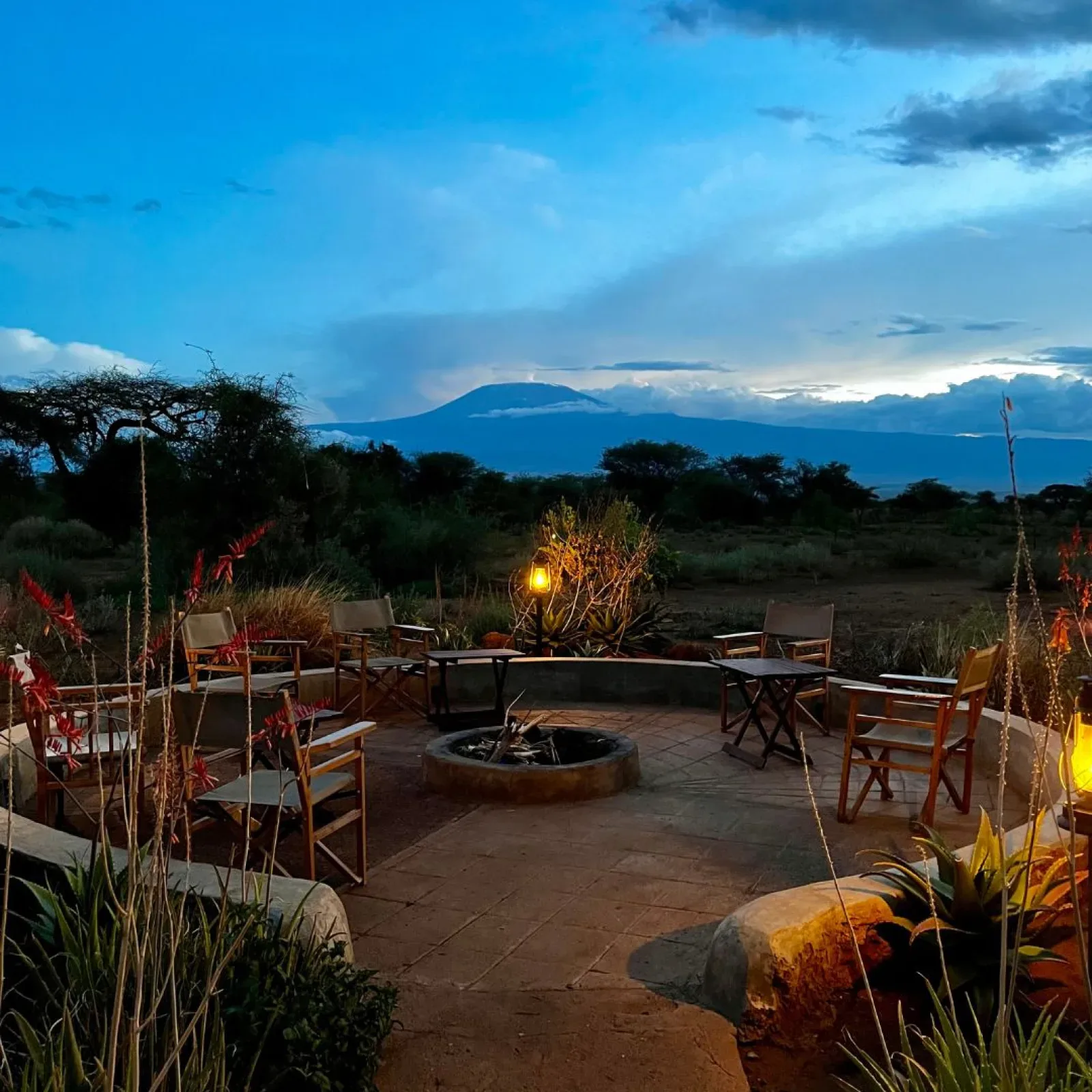 Safari in Amboseli National Park