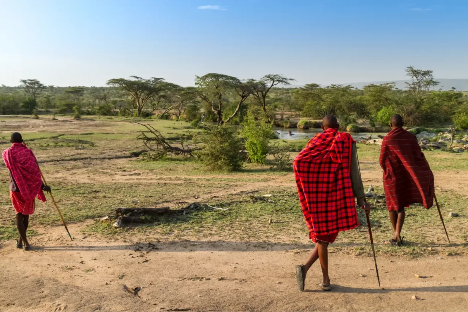 Safari in Kenya