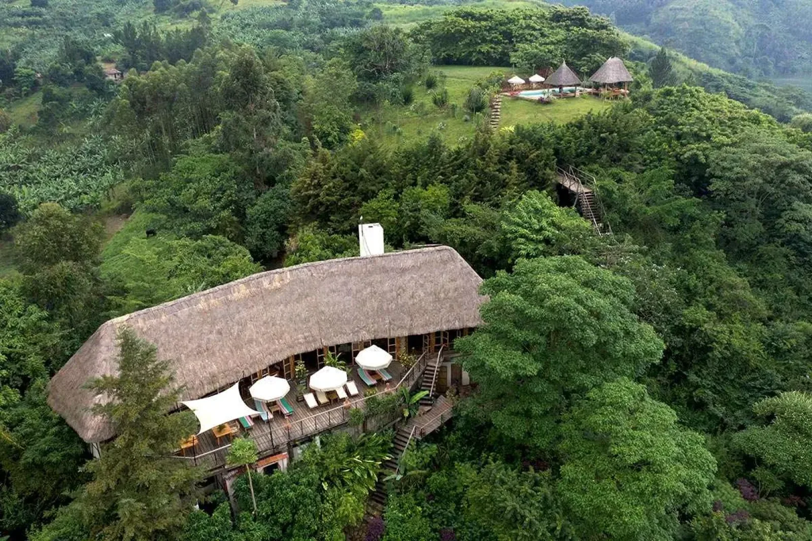 Safari in Kibale
