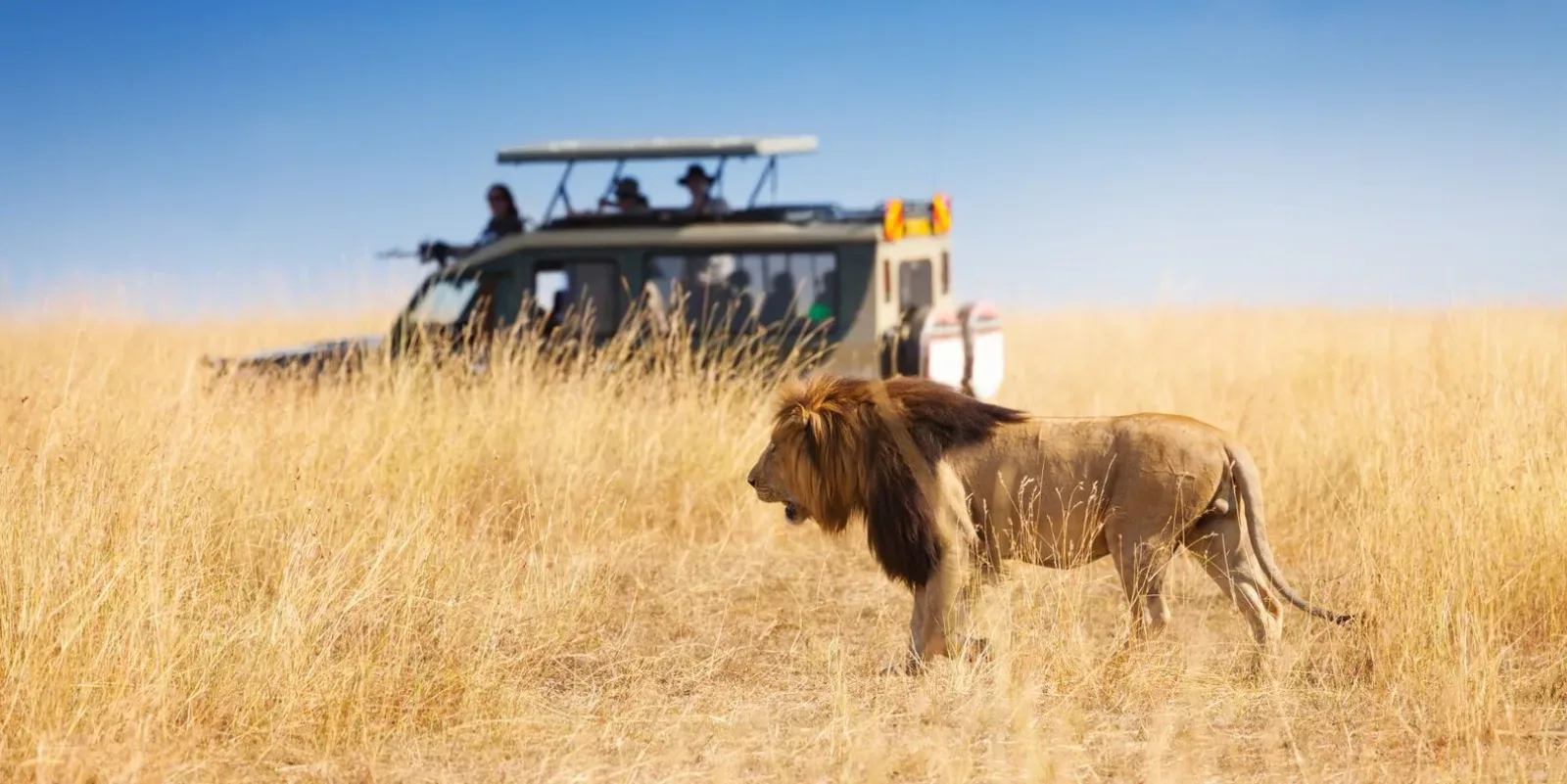 Safari in Masai Mara