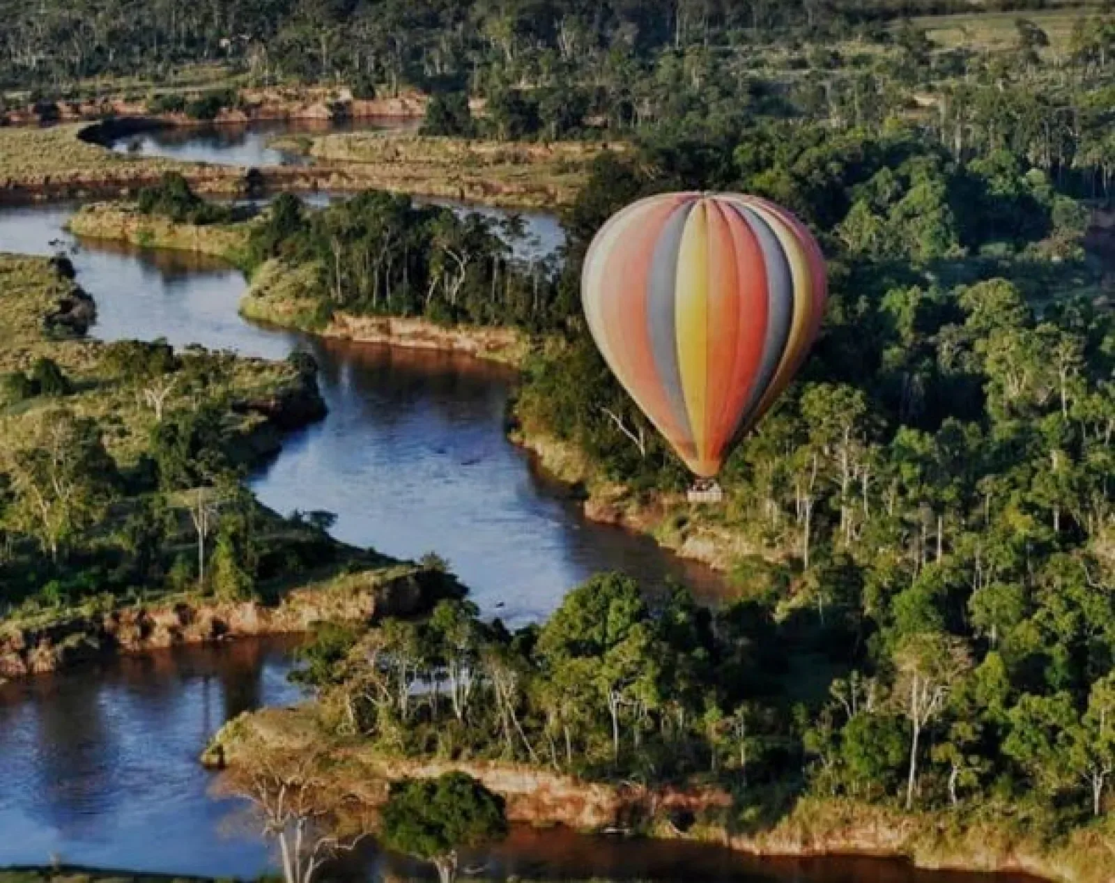 Safari in Masai Mara