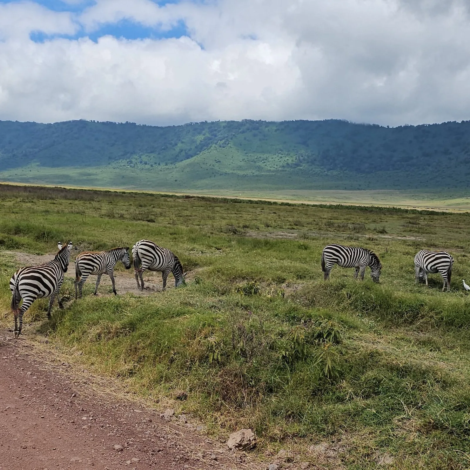 Safari in Murchison Falls