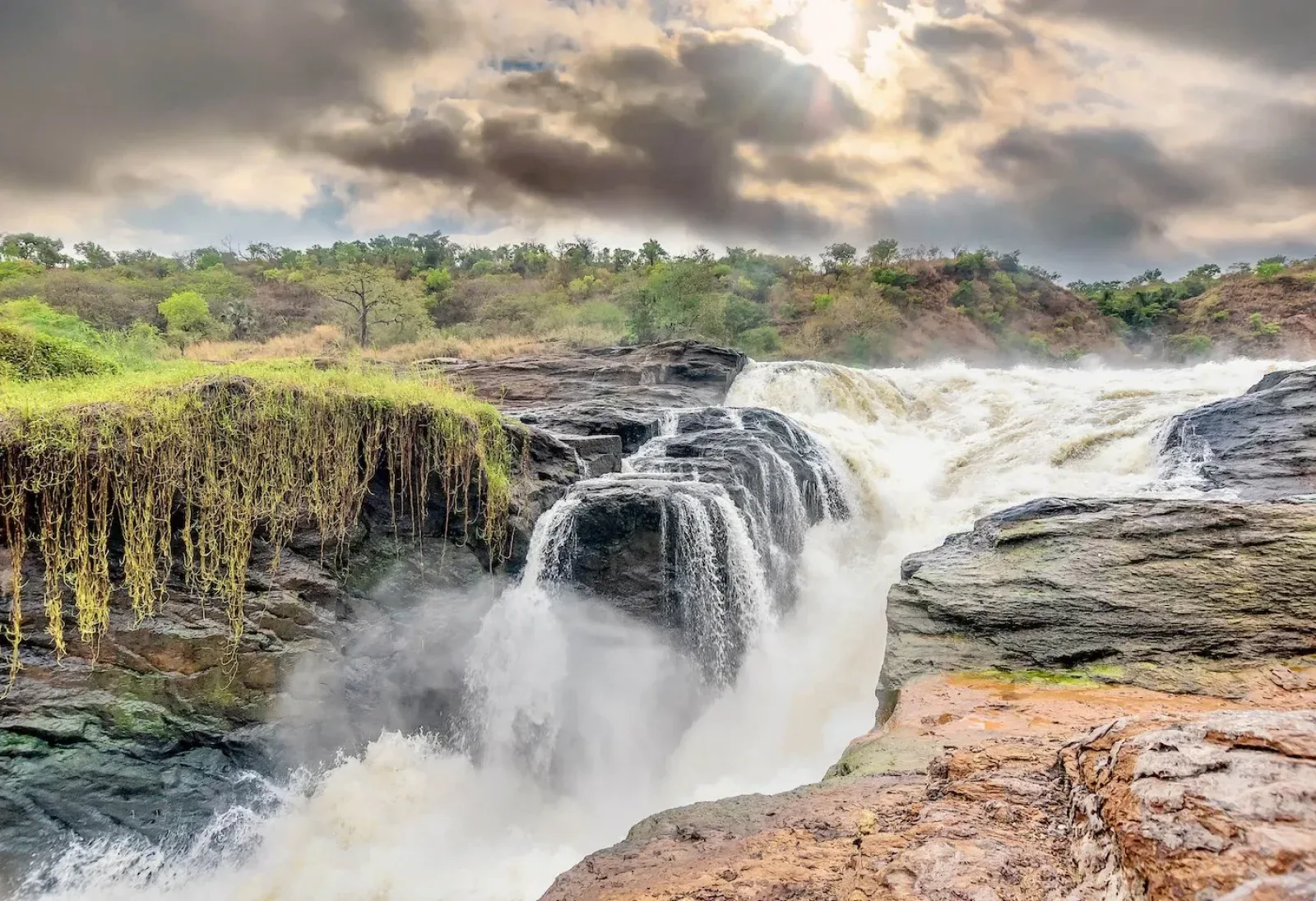 Safari in Murchison Falls