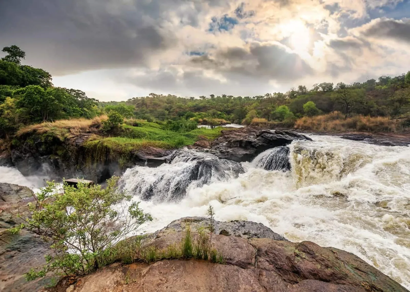 Safari in Murchison Falls