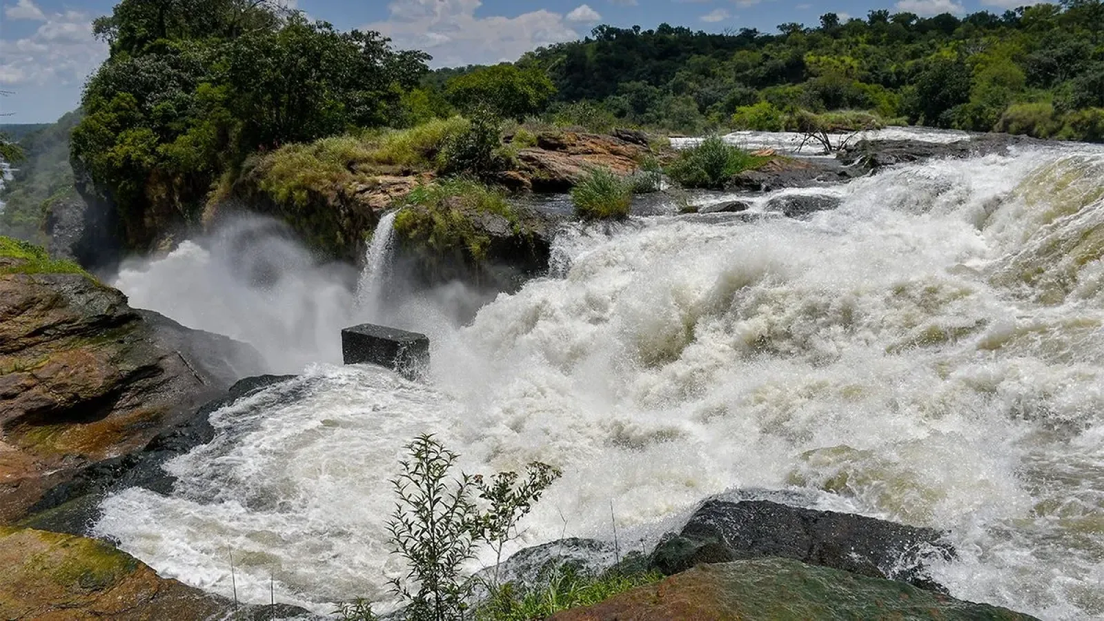Safari in Murchison Falls