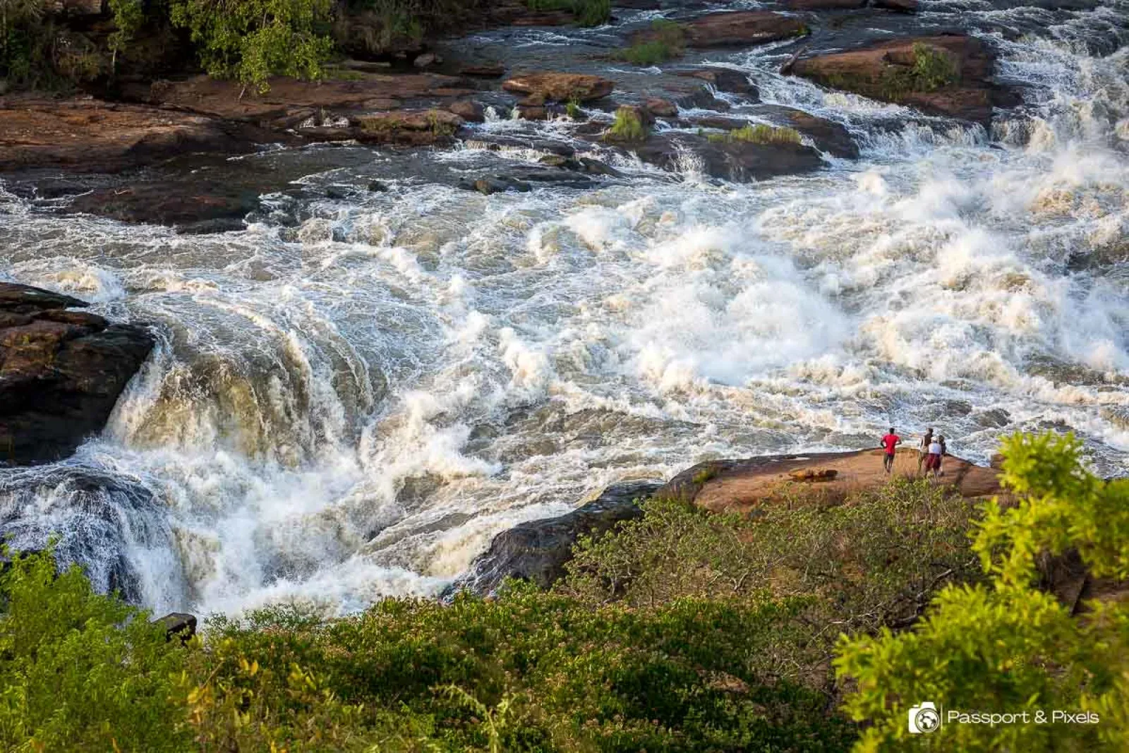 Safari in Murchison Falls