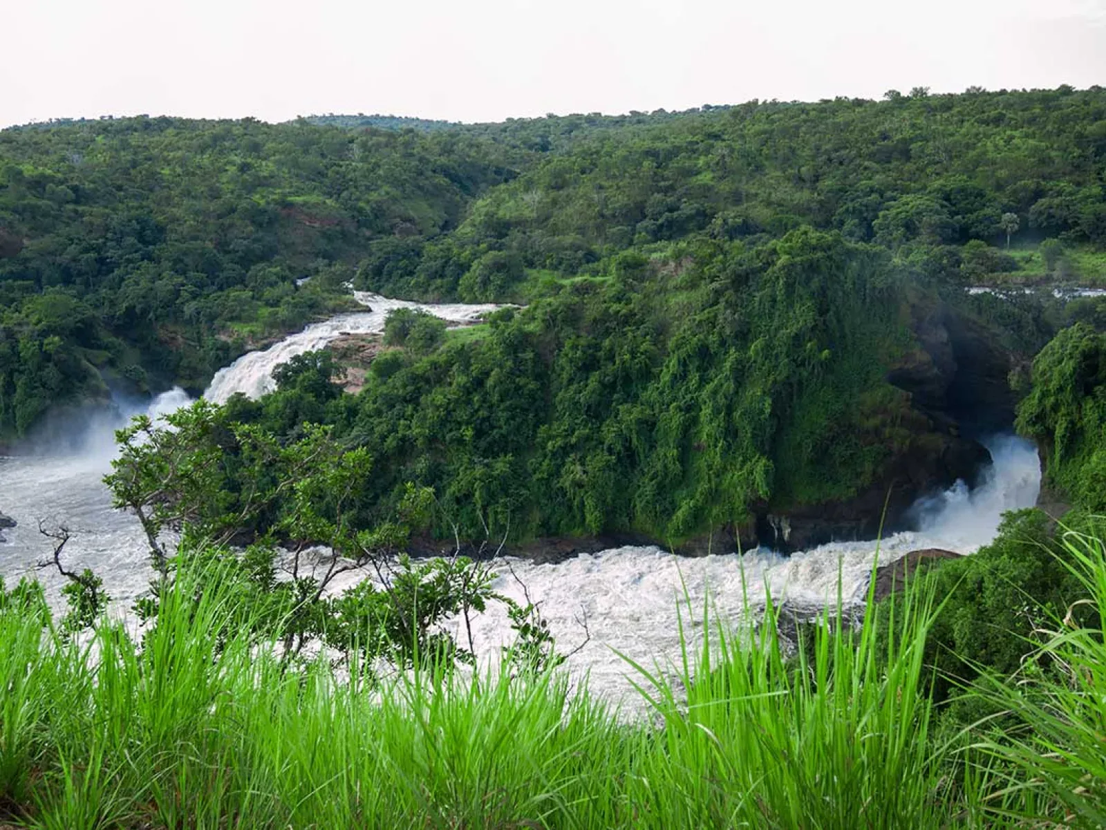 Safari in Murchison Falls