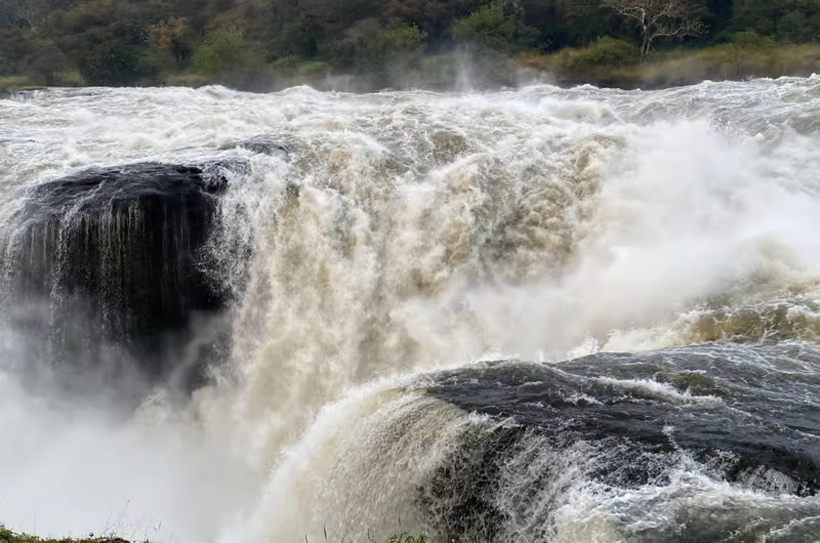 Safari in Murchison Falls