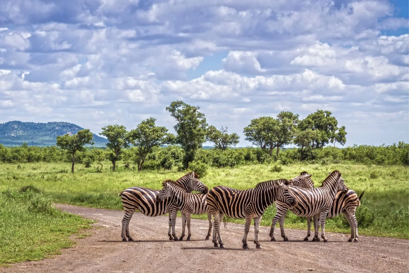 Safari in Ngorongoro