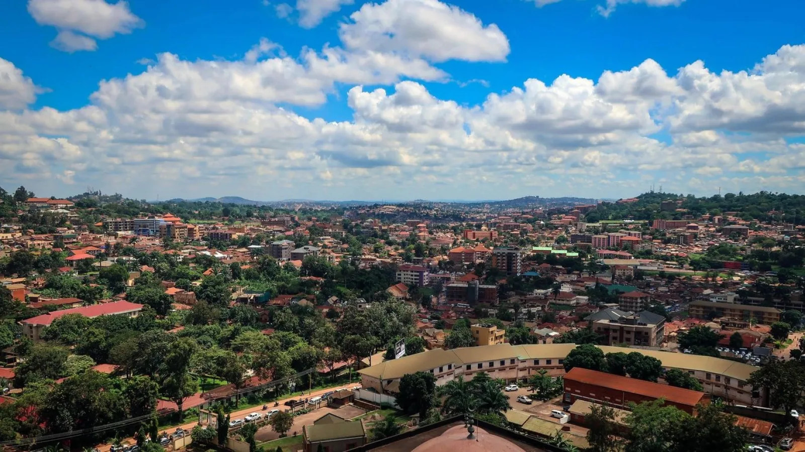 Safari in Uganda