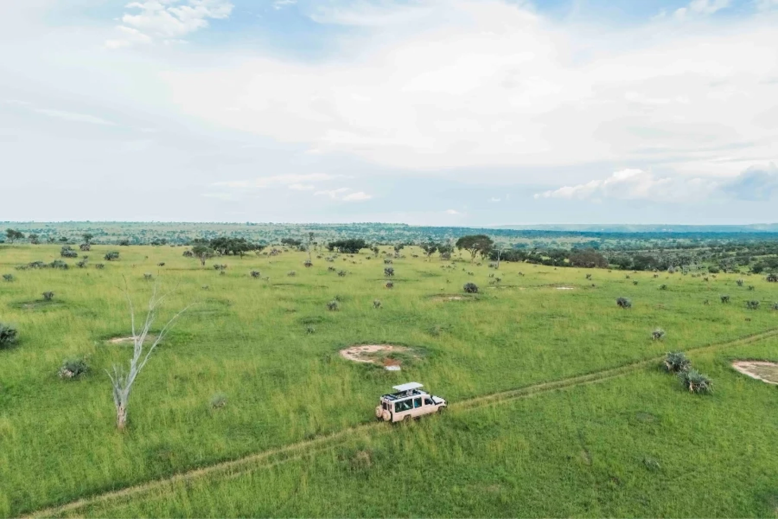 Safari in Uganda