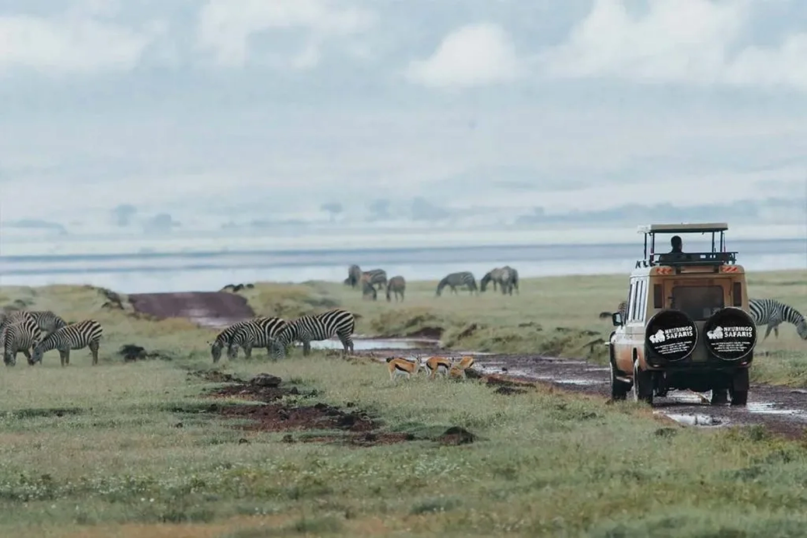 Safari in Uganda