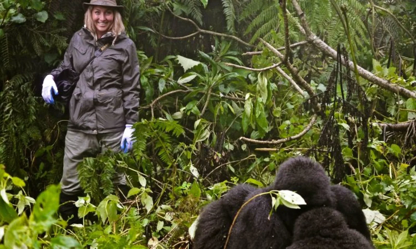 Safari in Uganda