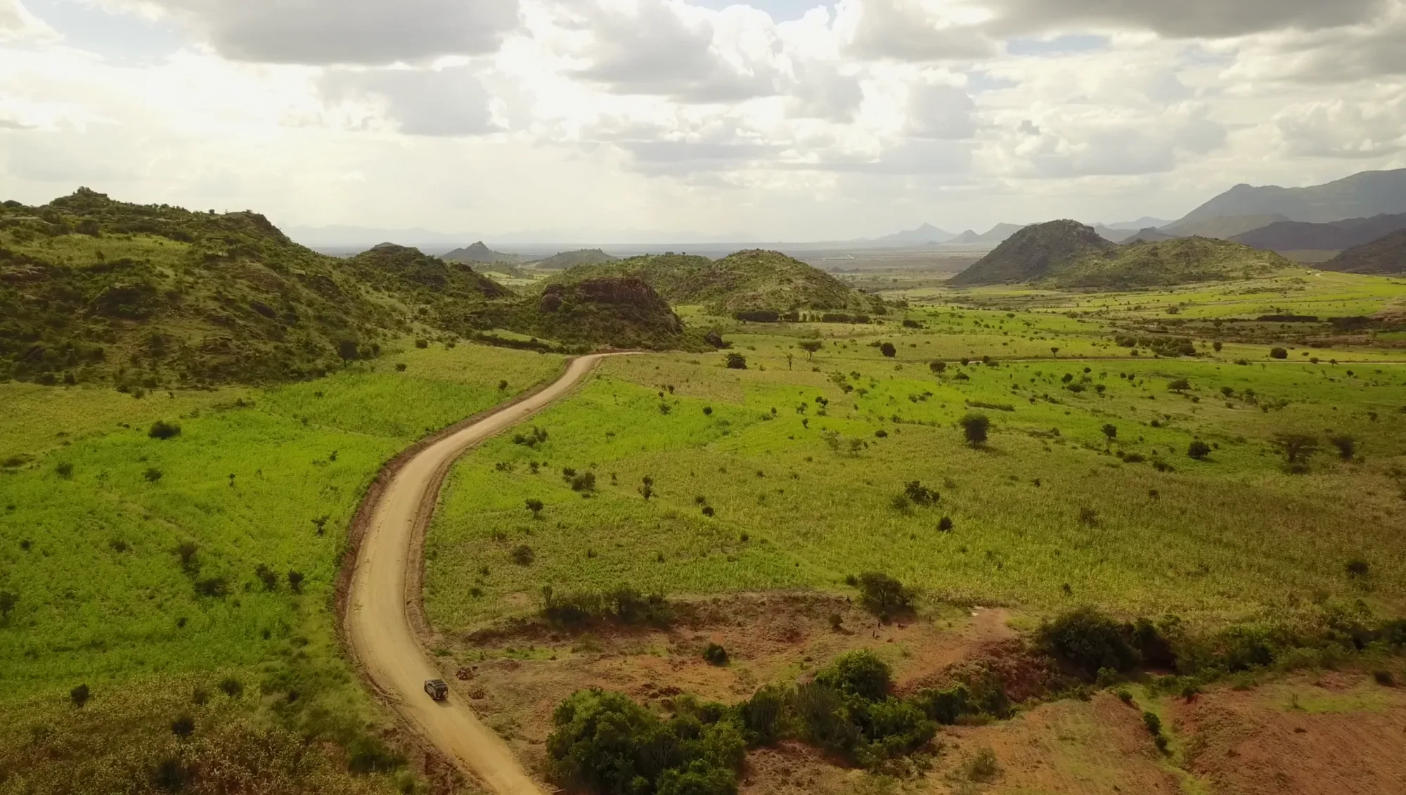 Safari in Uganda