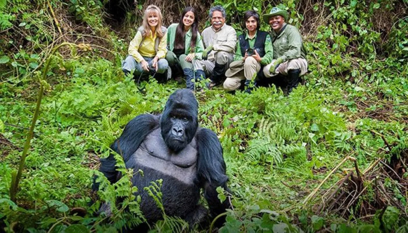 Safari in Uganda