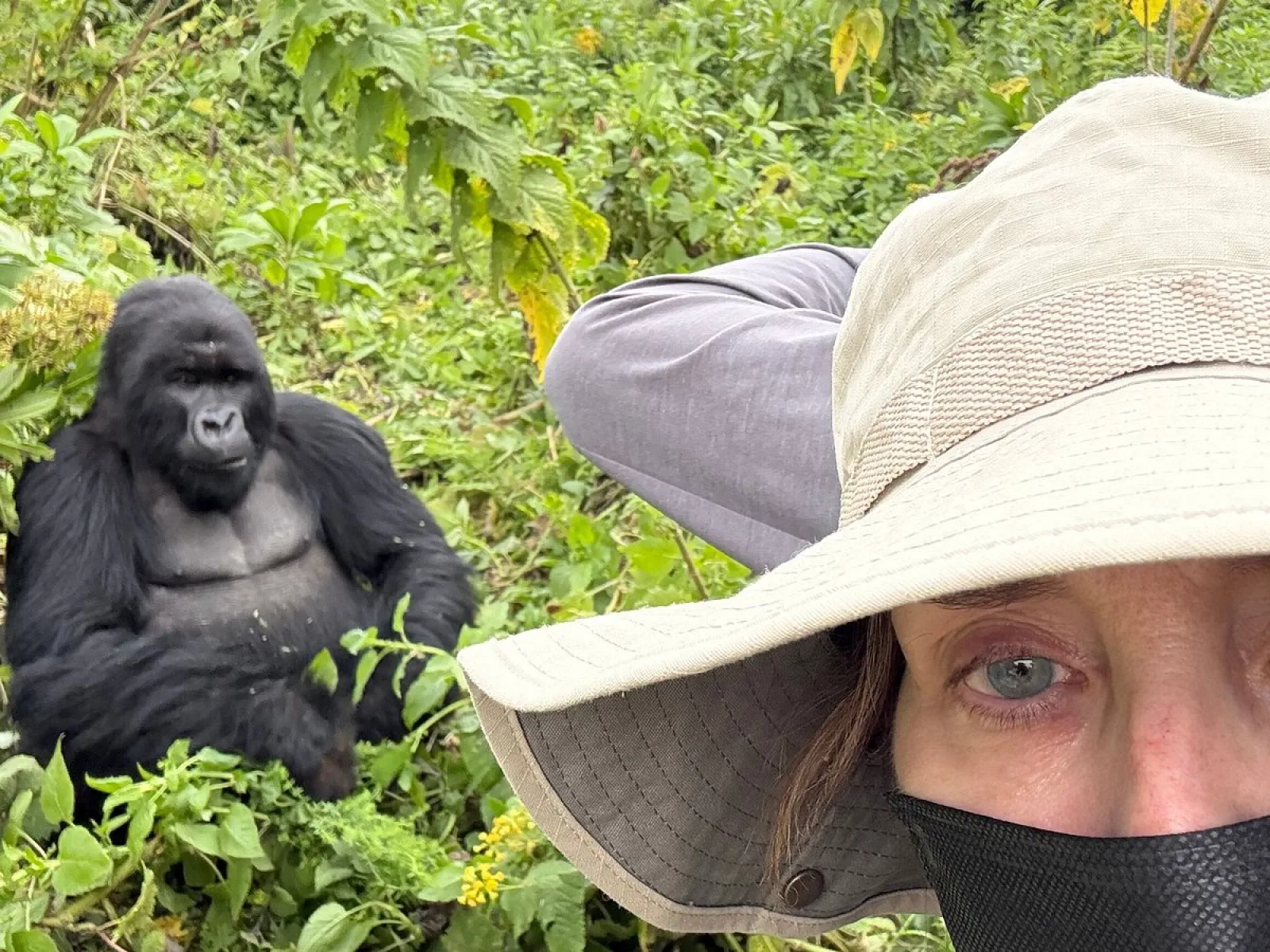 Safari in Uganda