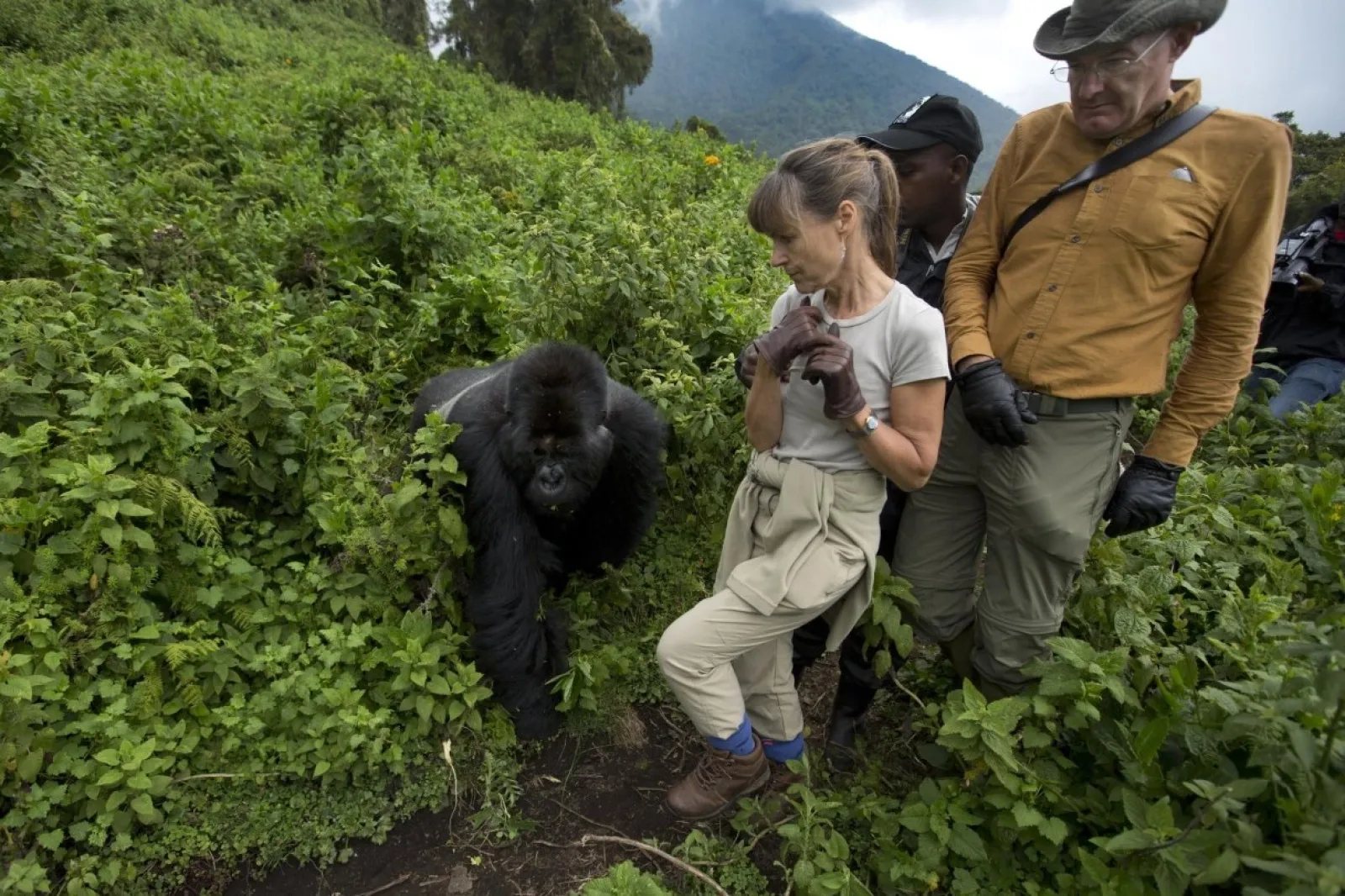 Safari in Uganda