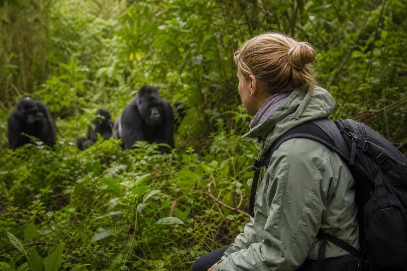 Safari in Uganda