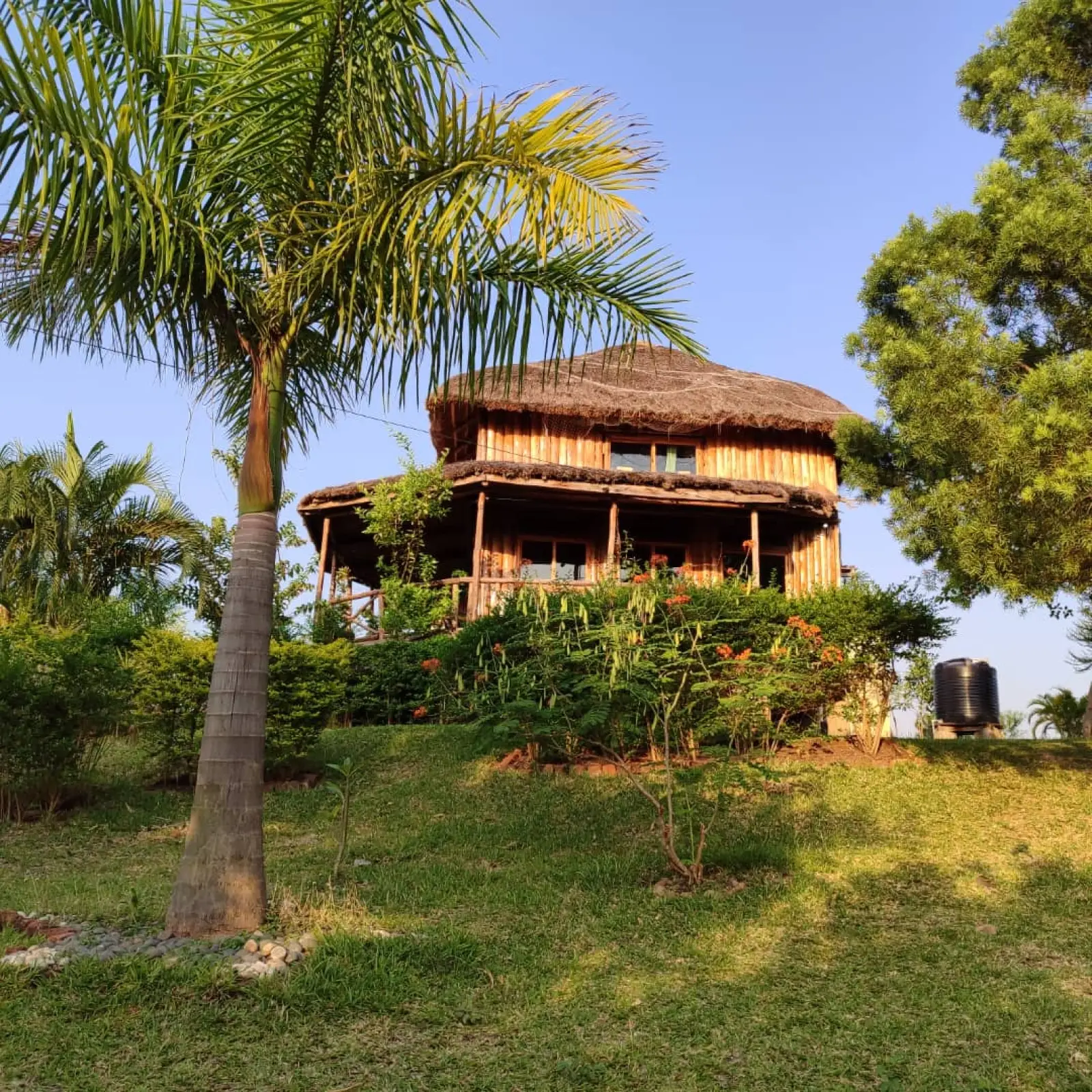 Safari in Uganda
