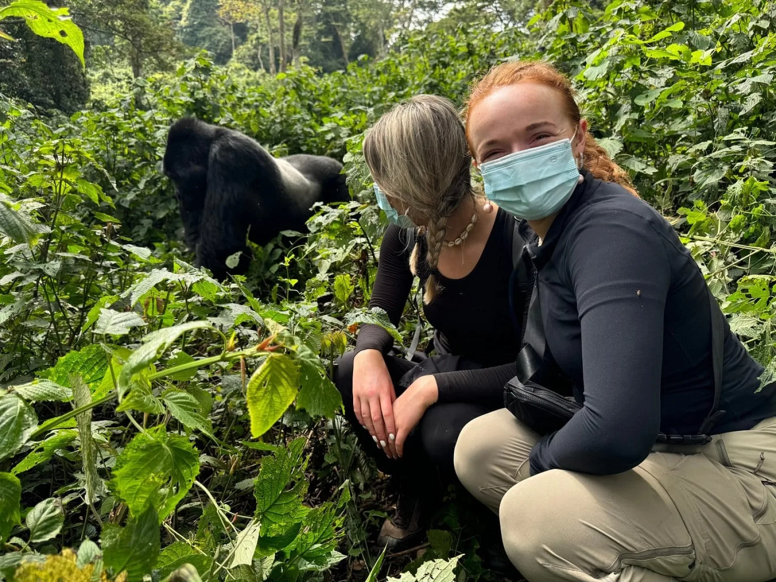 Safari in Uganda
