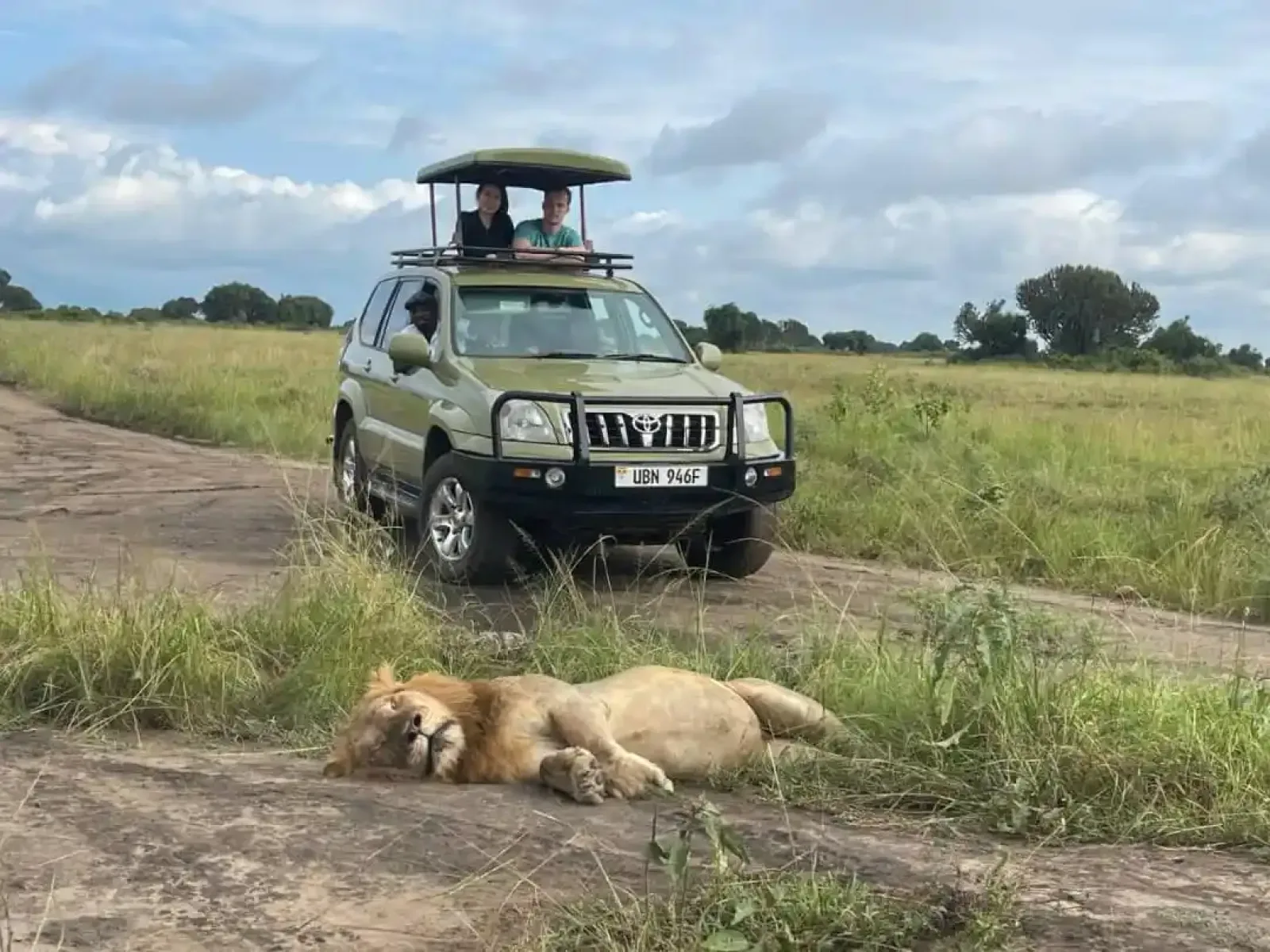 Safari in Uganda