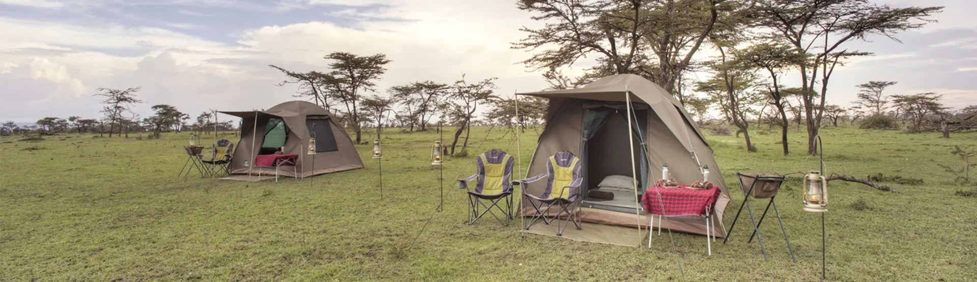 Safari in Uganda