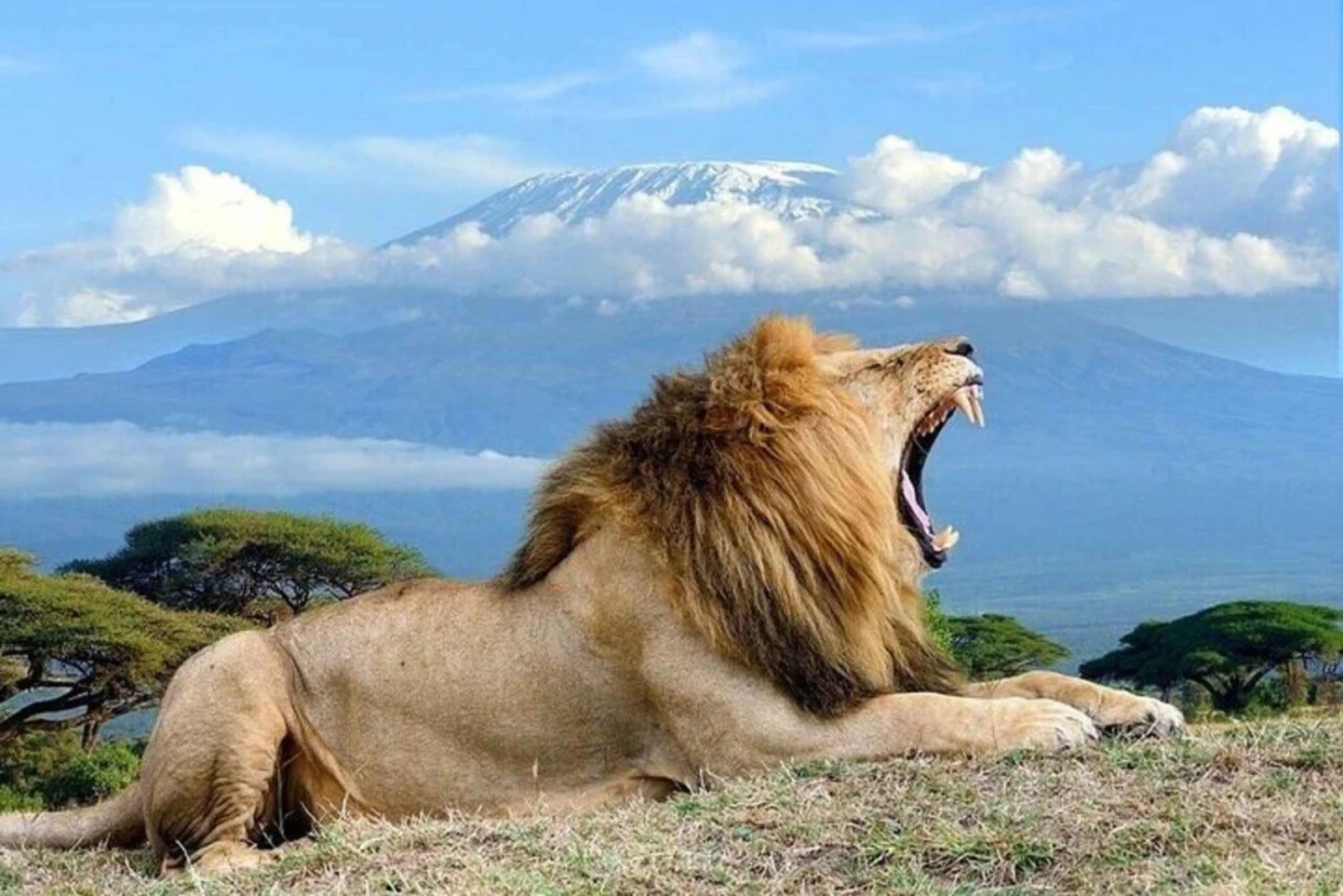 Safari lodge in Kenya
