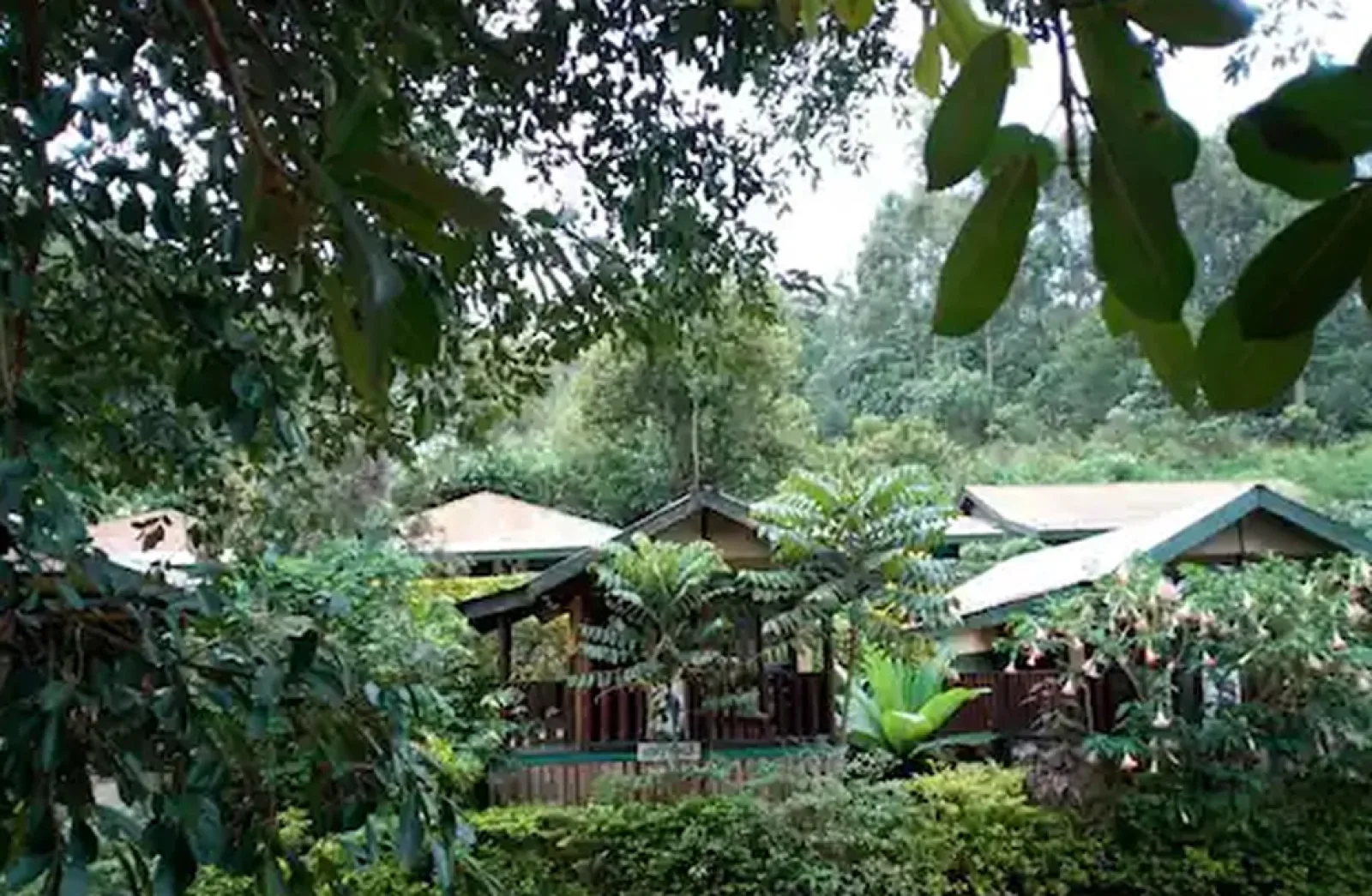 Safari lodge in Uganda