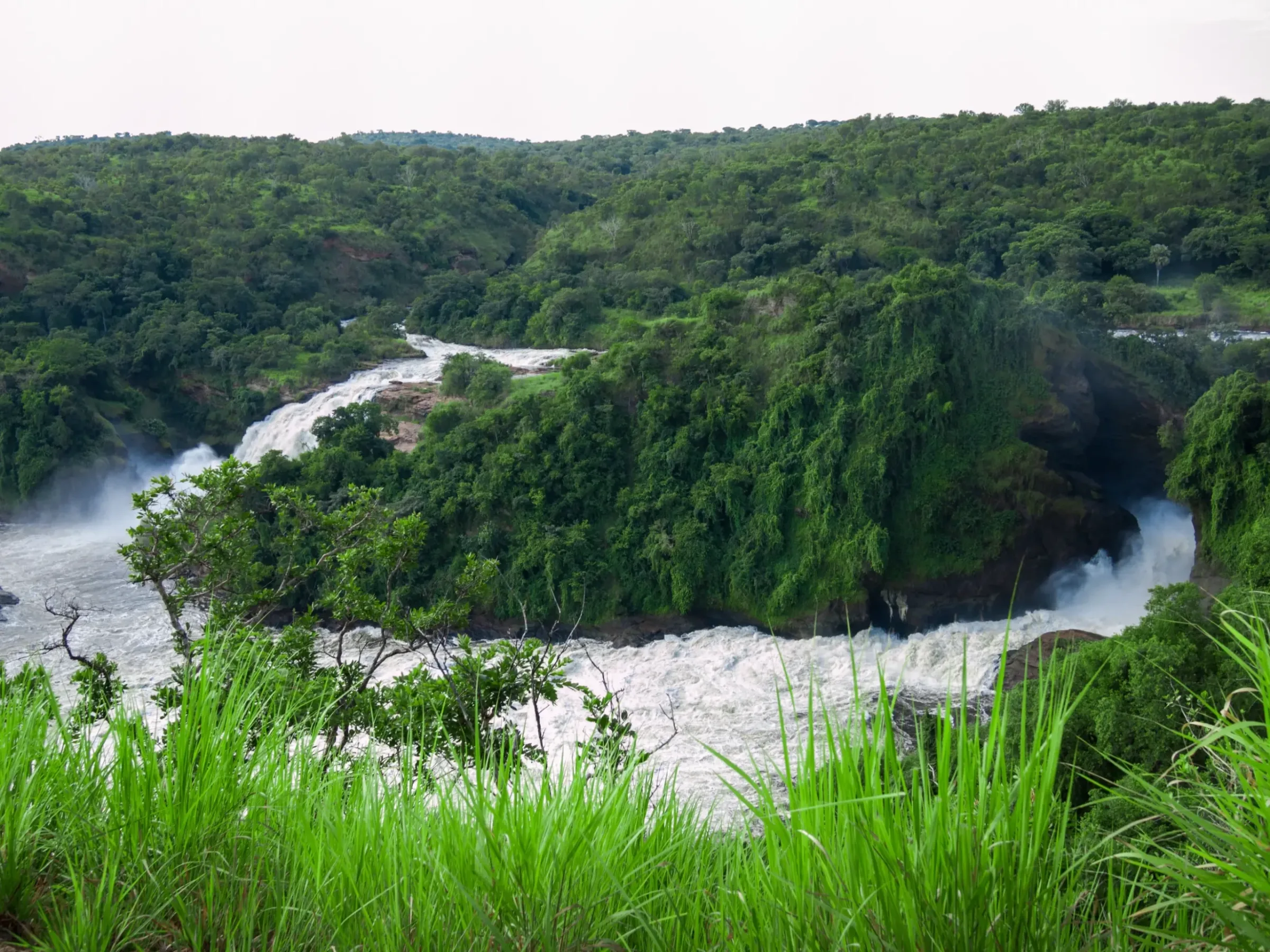 Safari Ouganda avis voyageurs : conseils et organisation