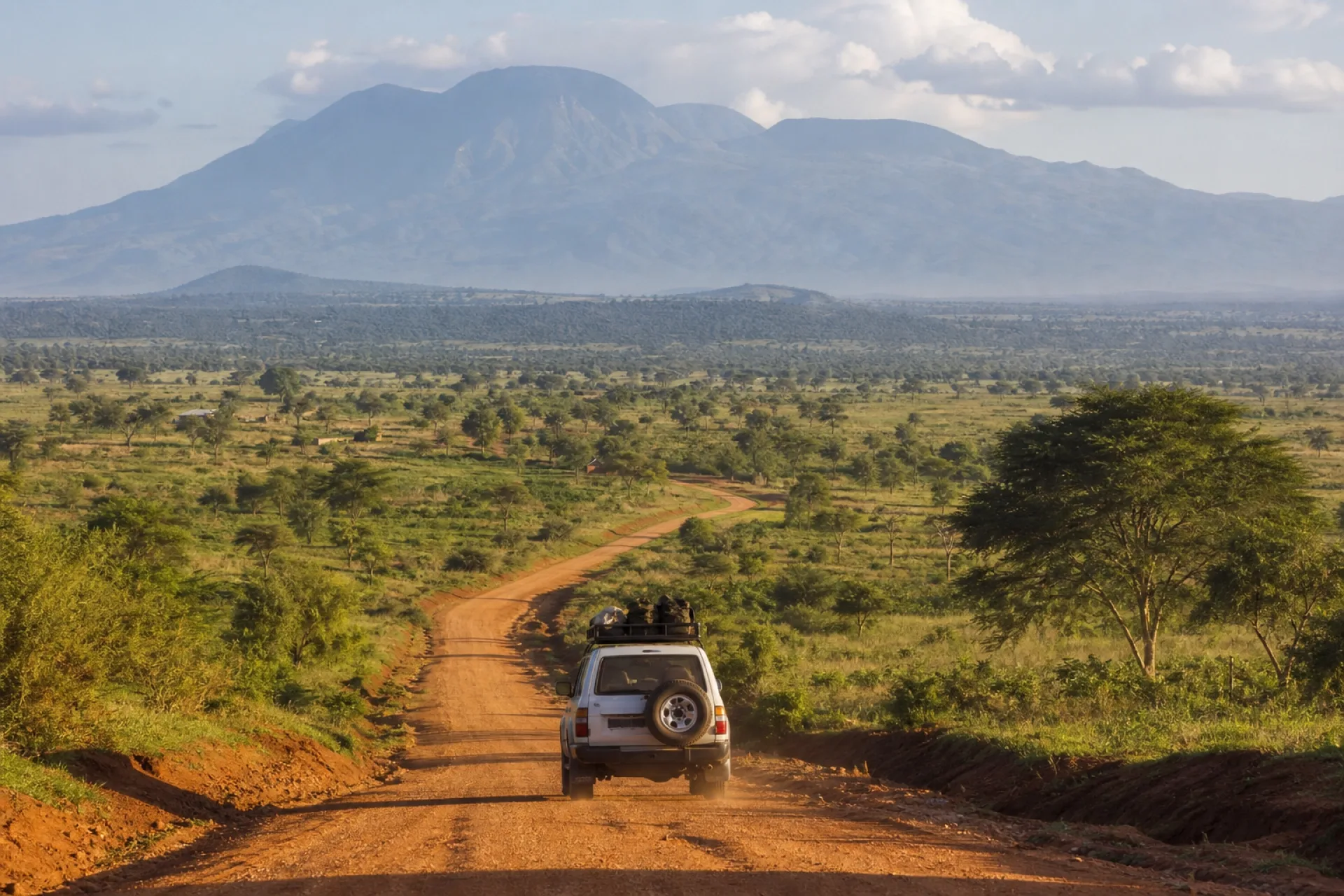 Safari Ouganda pour seniors : conseils et organisation