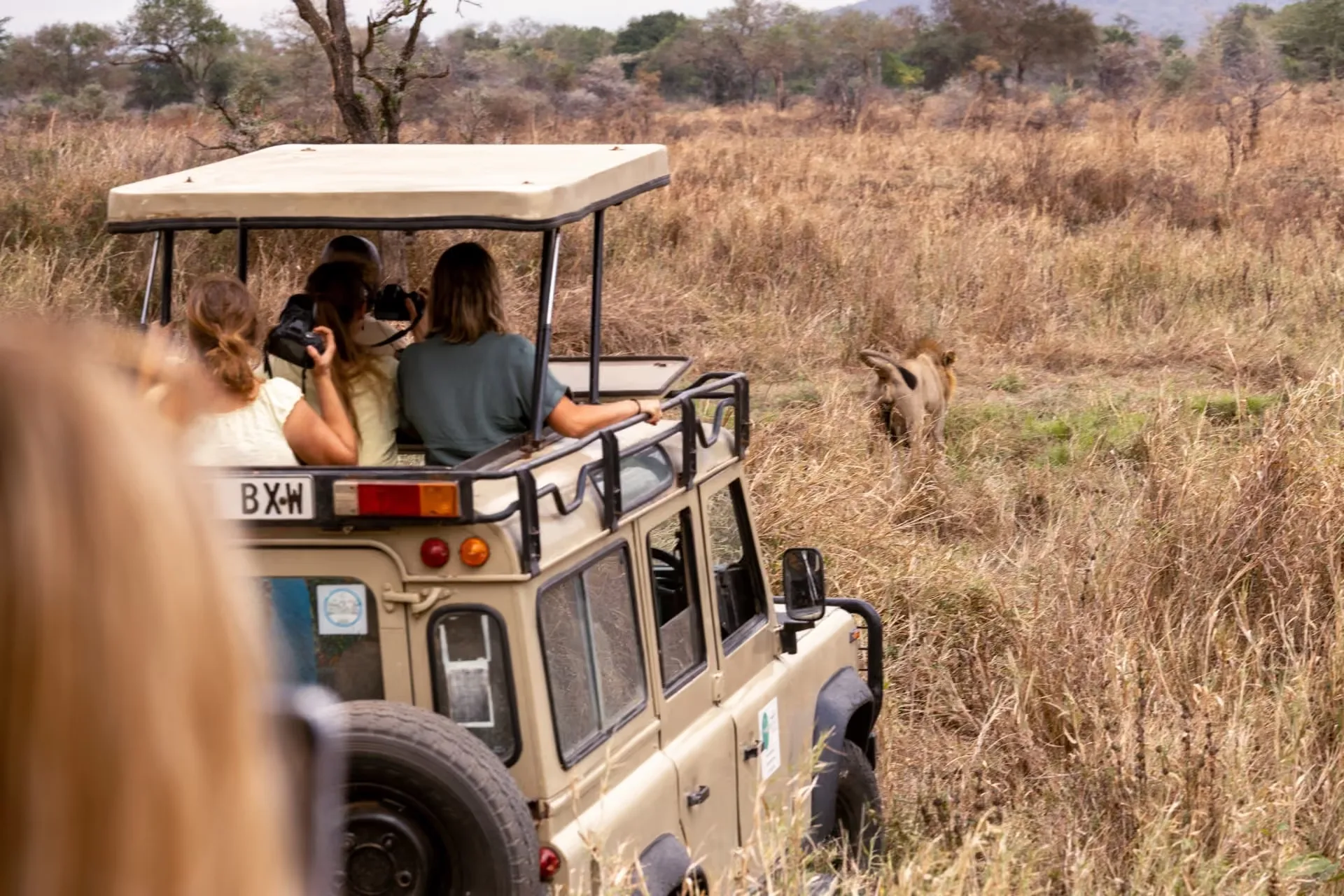 Safari Tanzanie 14 jours : itinéraire et prix