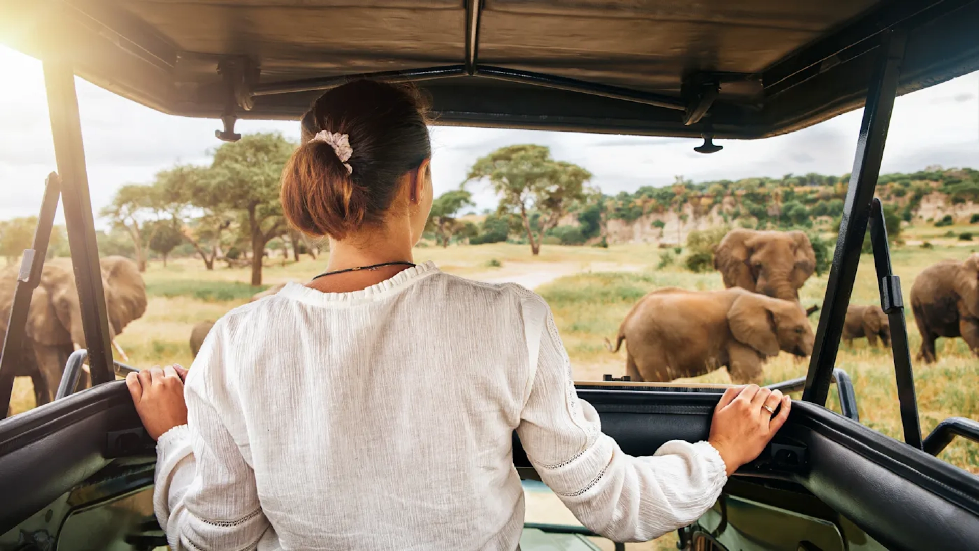 Safari Tanzanie 3 jours : itinéraire et prix