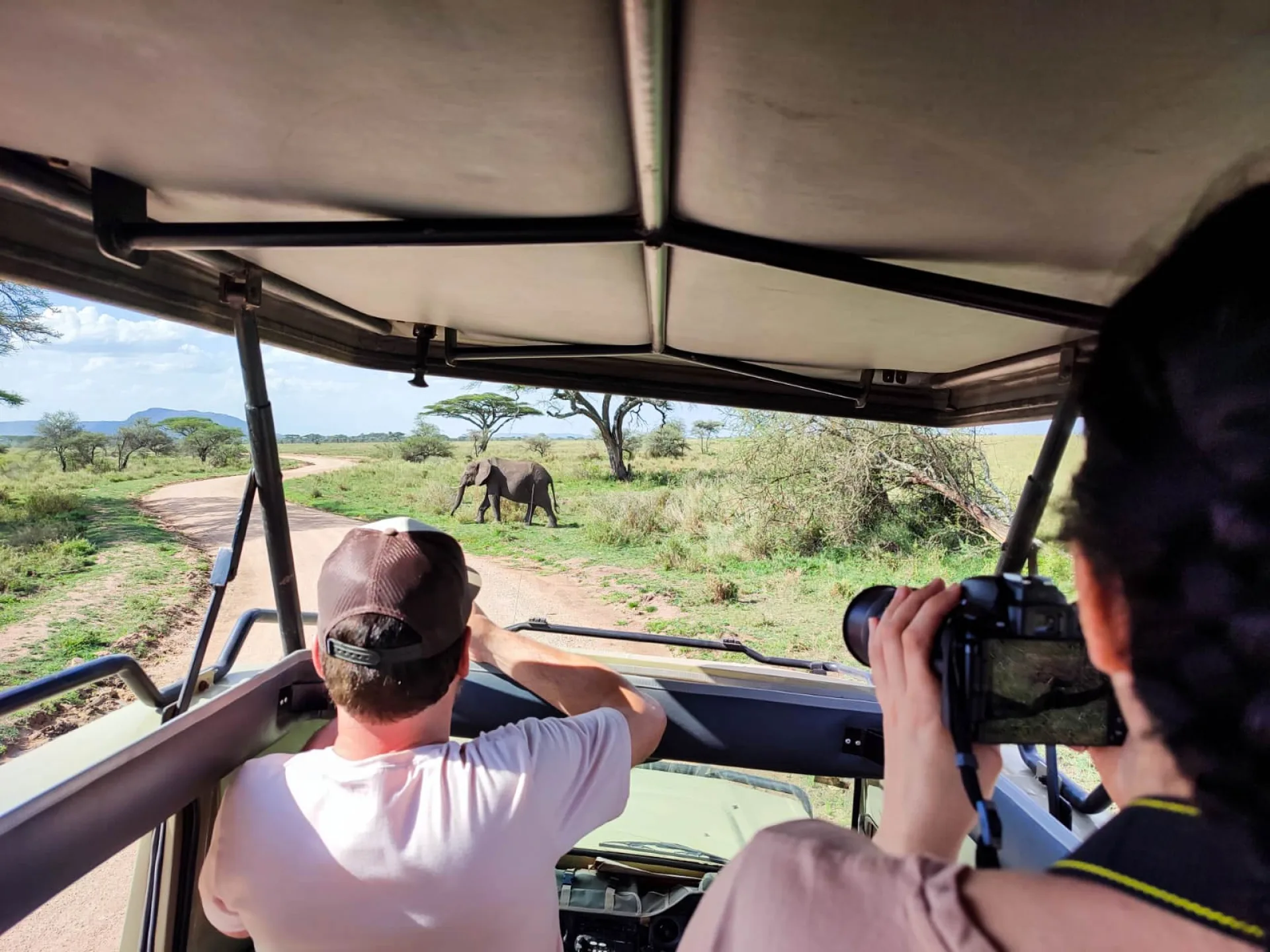 Safari Tanzanie agence locale : conseils et organisation