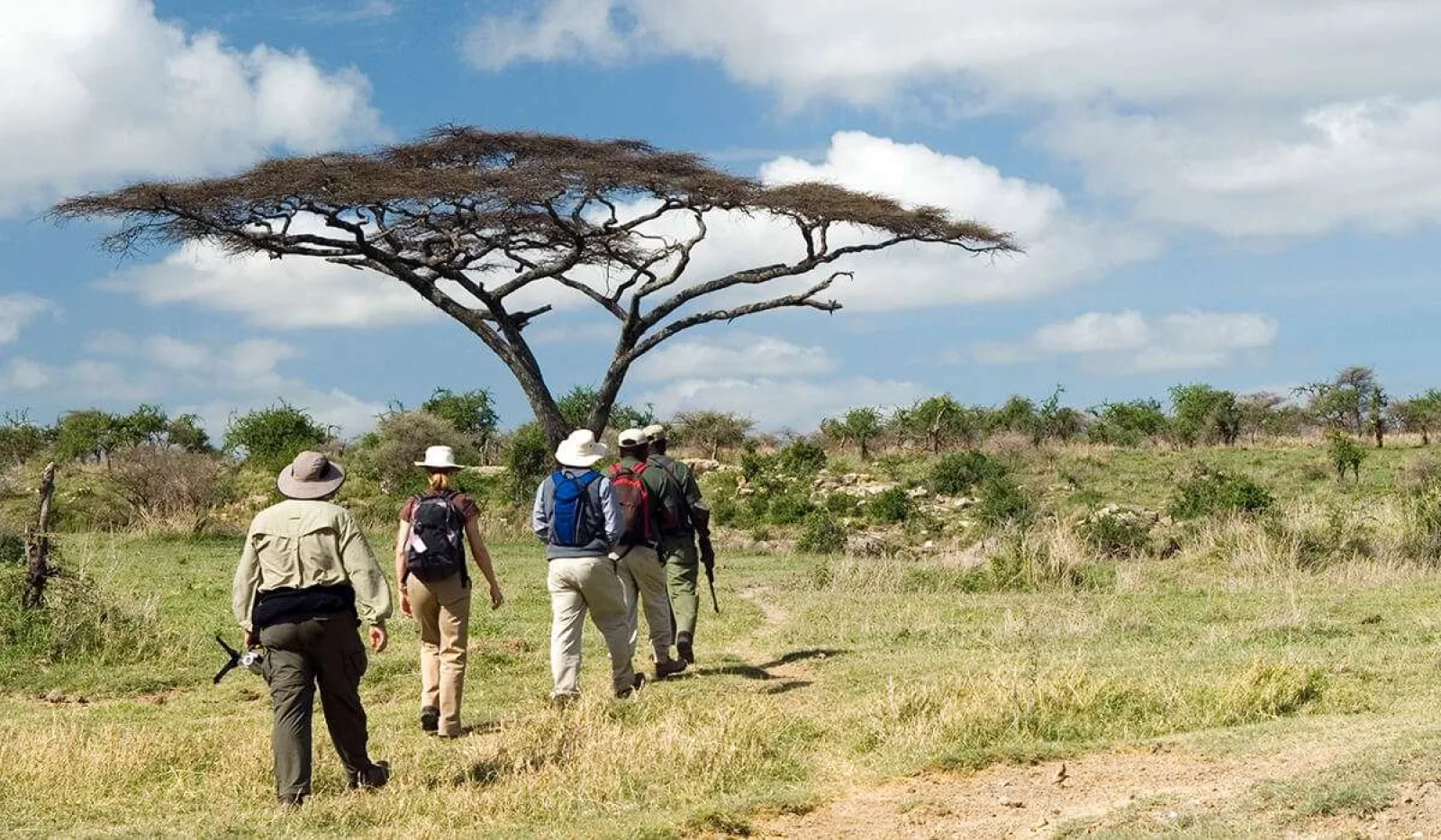 Safari Tanzanie avec guide local : conseils et organisation