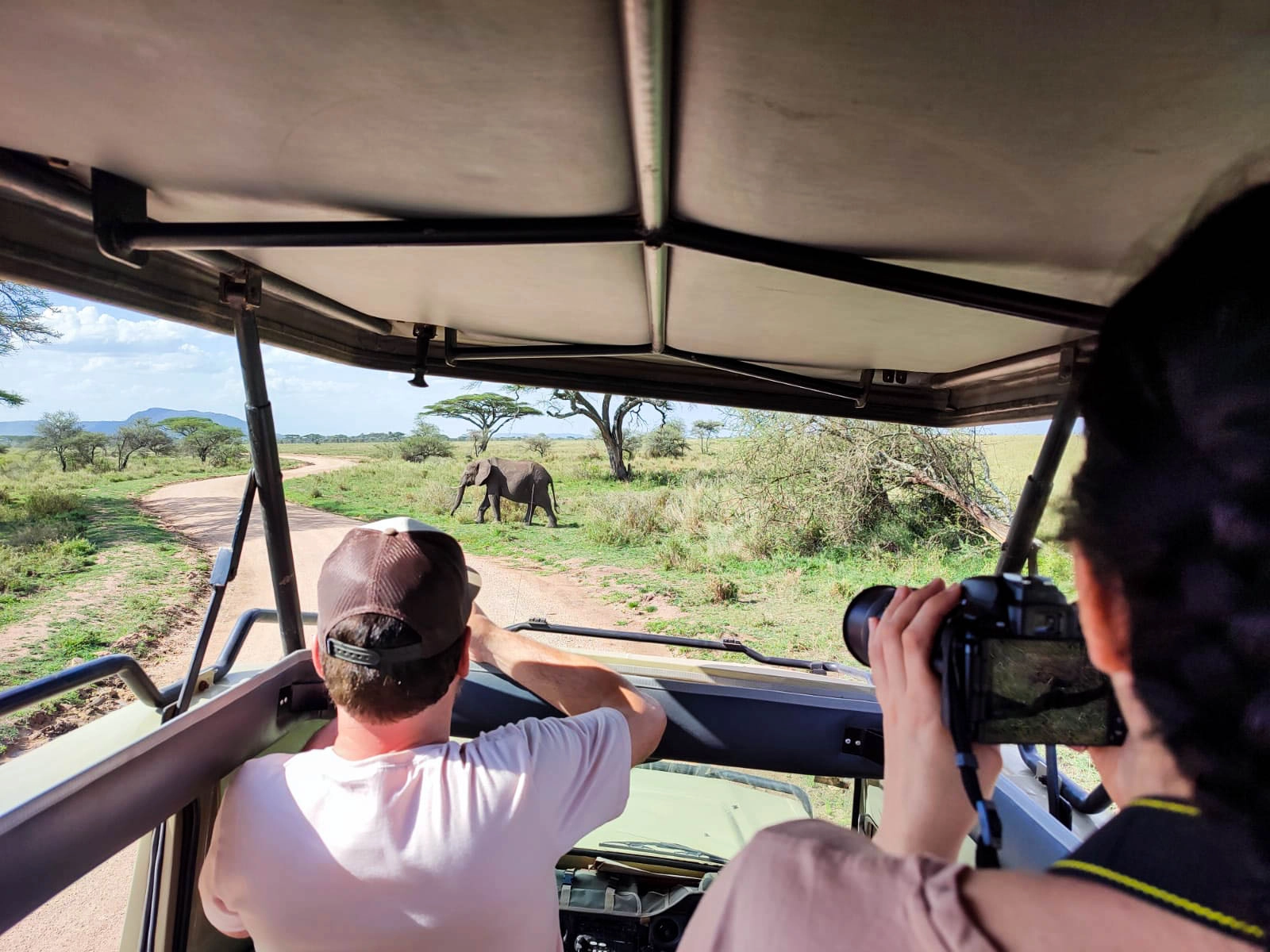 Safari Tanzanie avec guide local : conseils et organisation