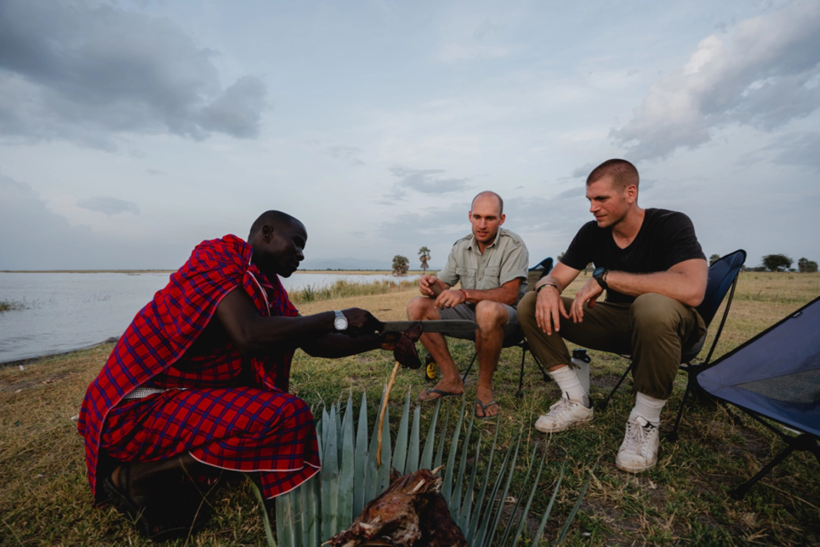 Safari Tanzanie départ Montréal : le guide complet