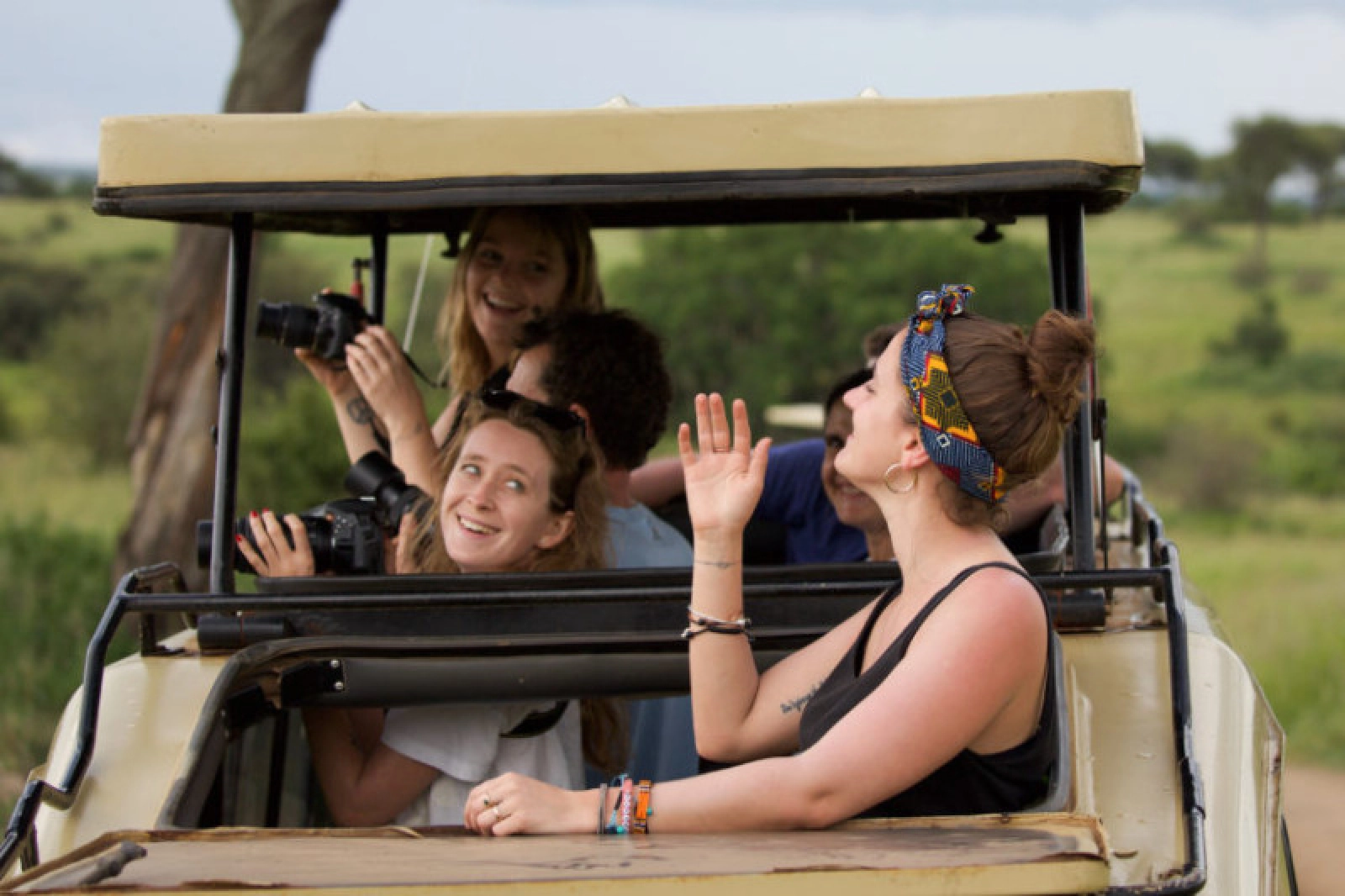 Safari Tanzanie départ Montréal : le guide complet