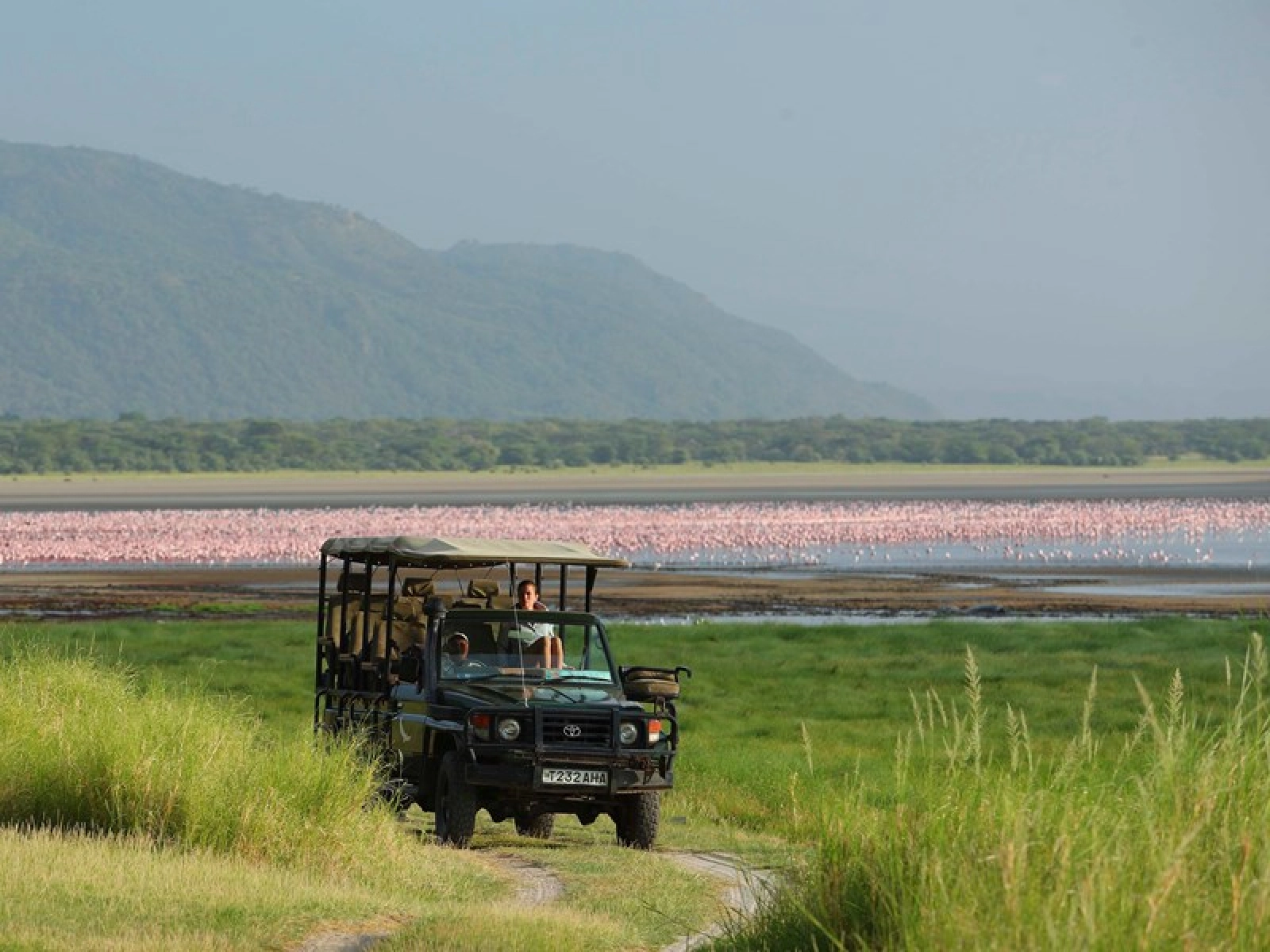 Safari Tanzanie départ Paris : comment organiser son voyage