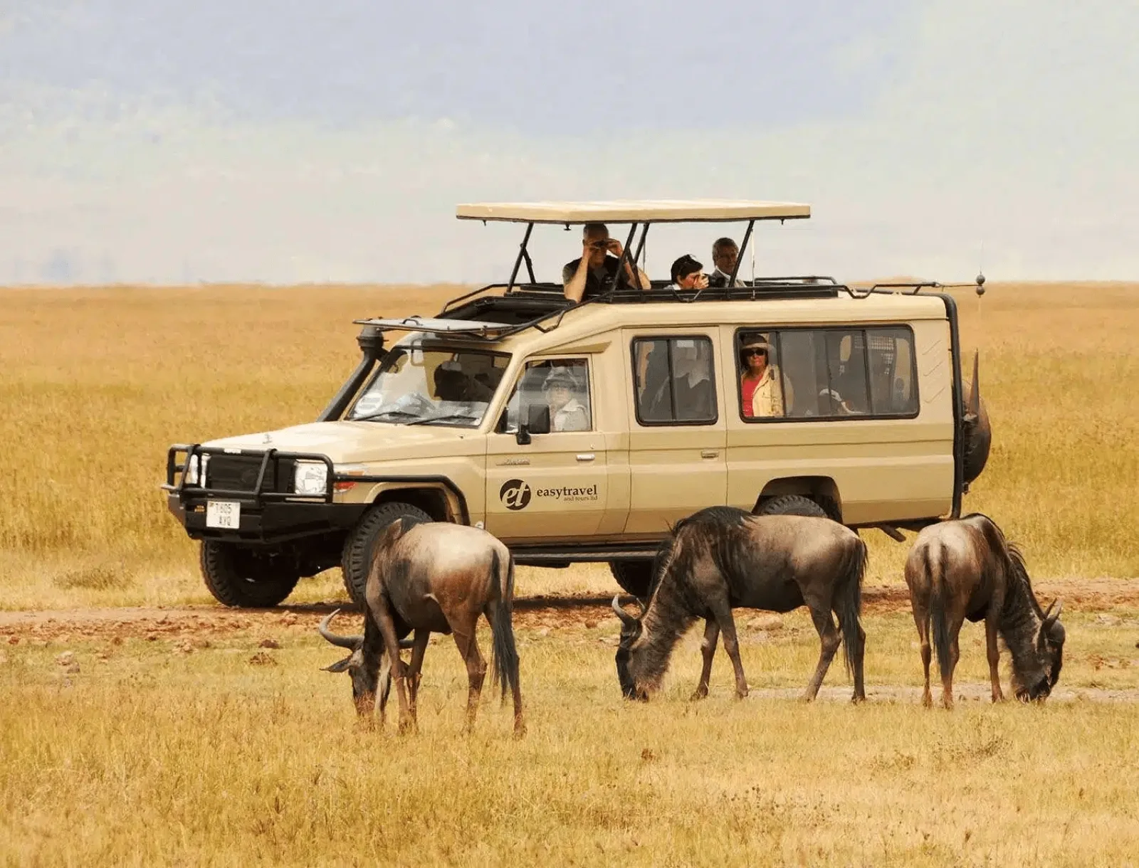 Safari Tanzanie en août : météo, migration et prix