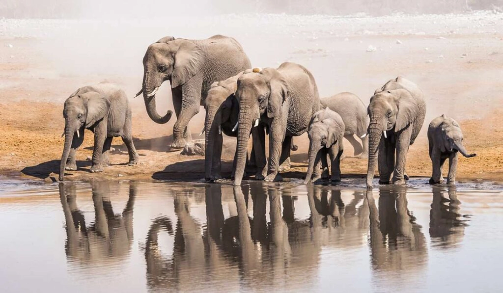 Safari Tanzanie en mai : le mois méconnu de la saison verte