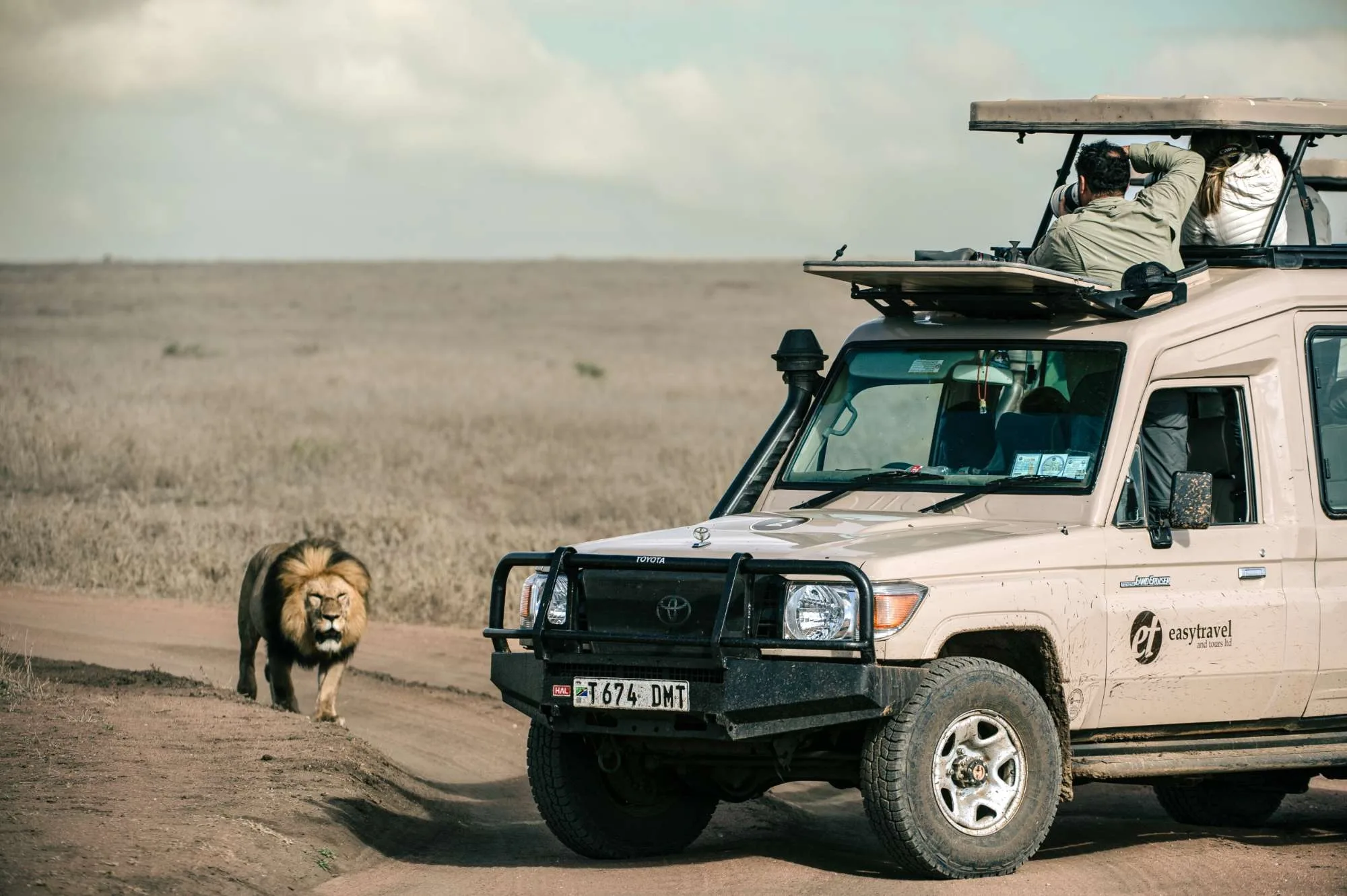 Safari Tanzanie : guide complet