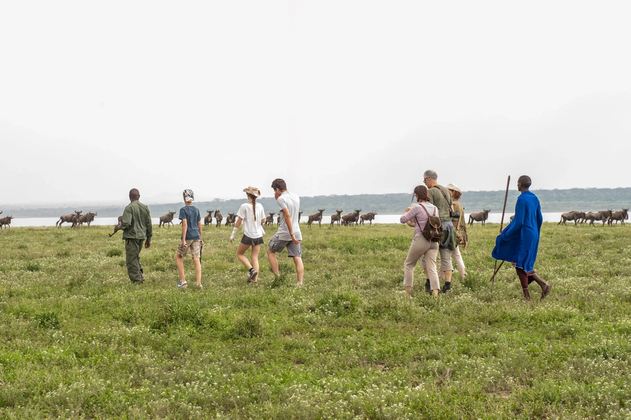 Safari Tanzanie pourboires : conseils et organisation