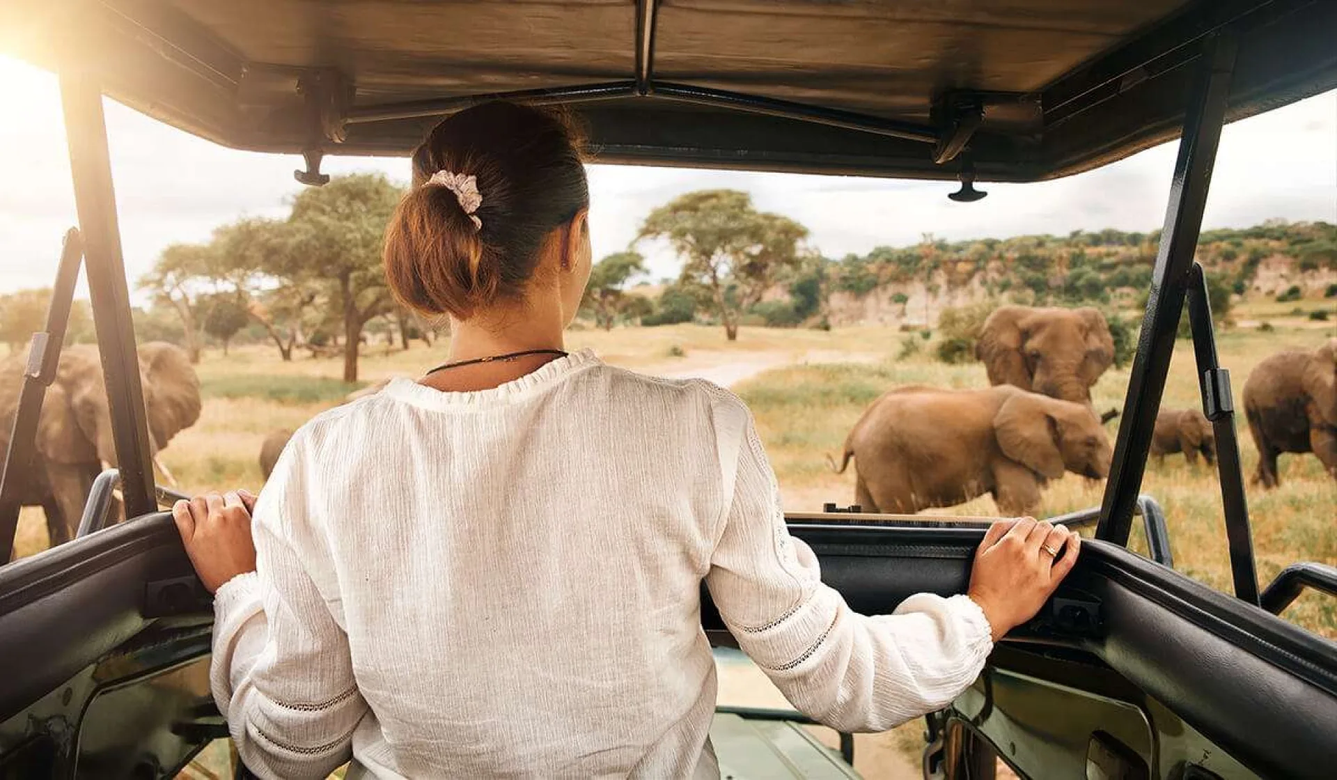 Safari Tanzanie solo : conseils et organisation