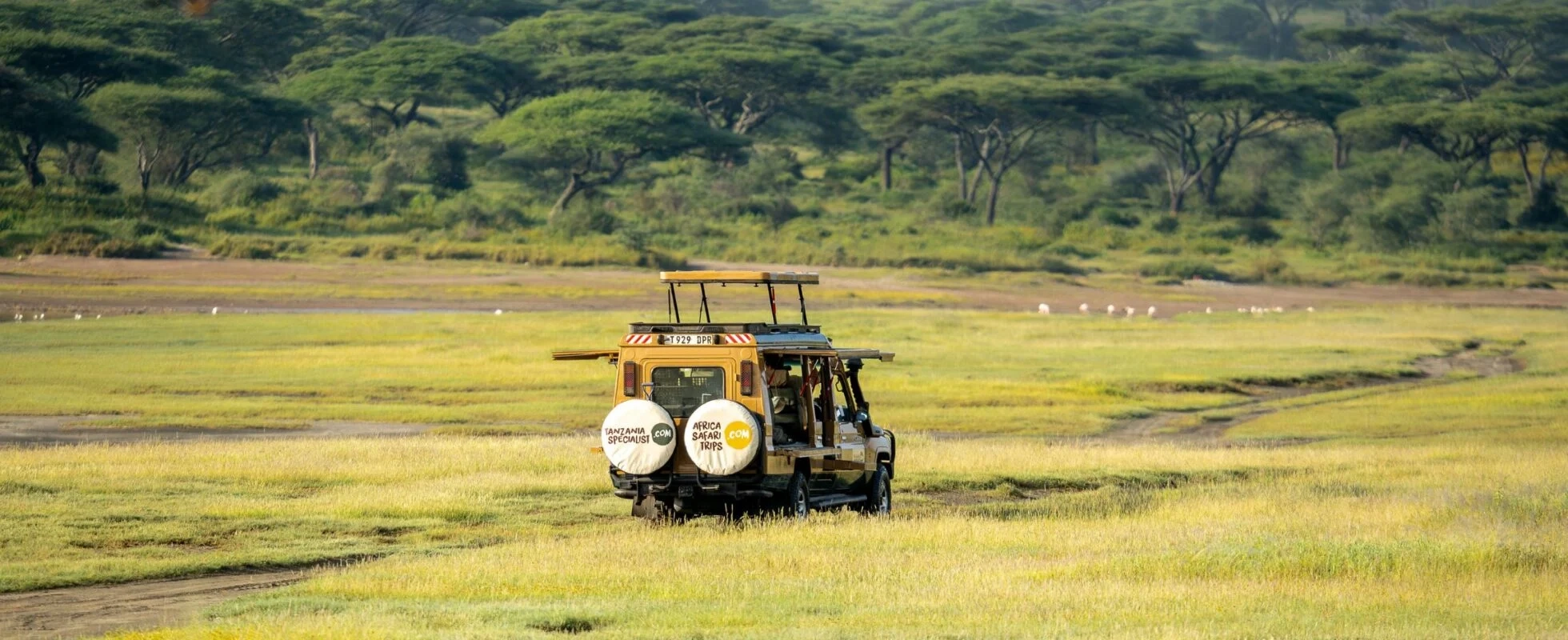 Safari Tanzanie valise : conseils et organisation