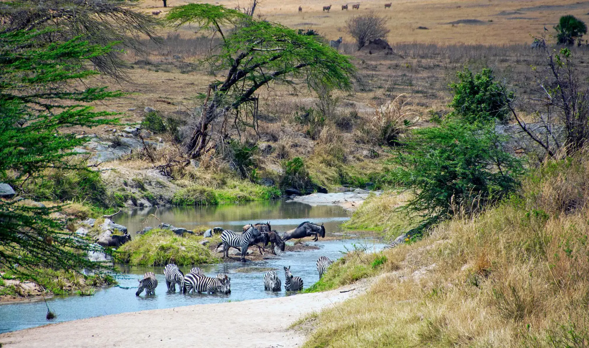 Safari und Strand im Oktober