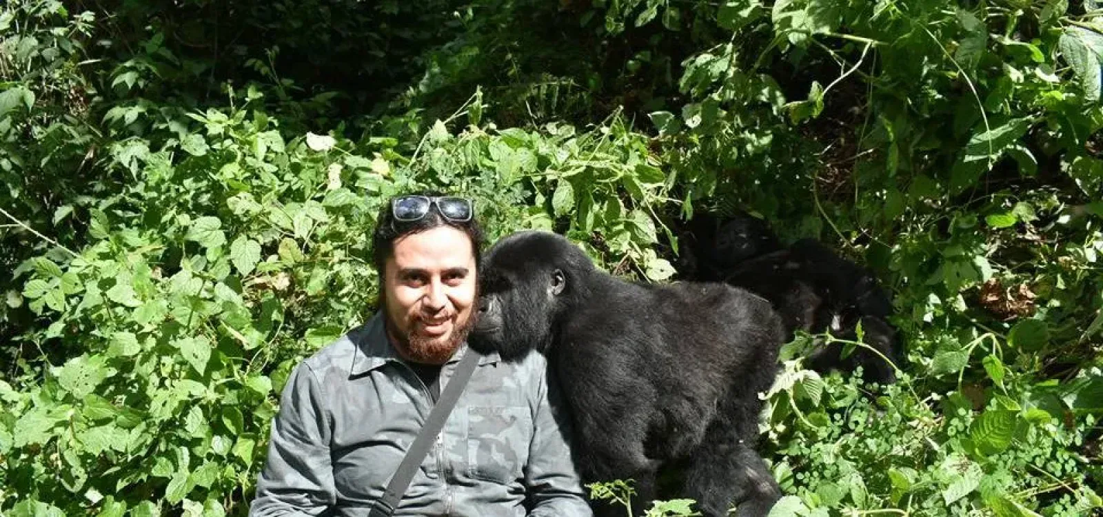Solo Gorilla Trekking – lohnt sich der Aufpreis