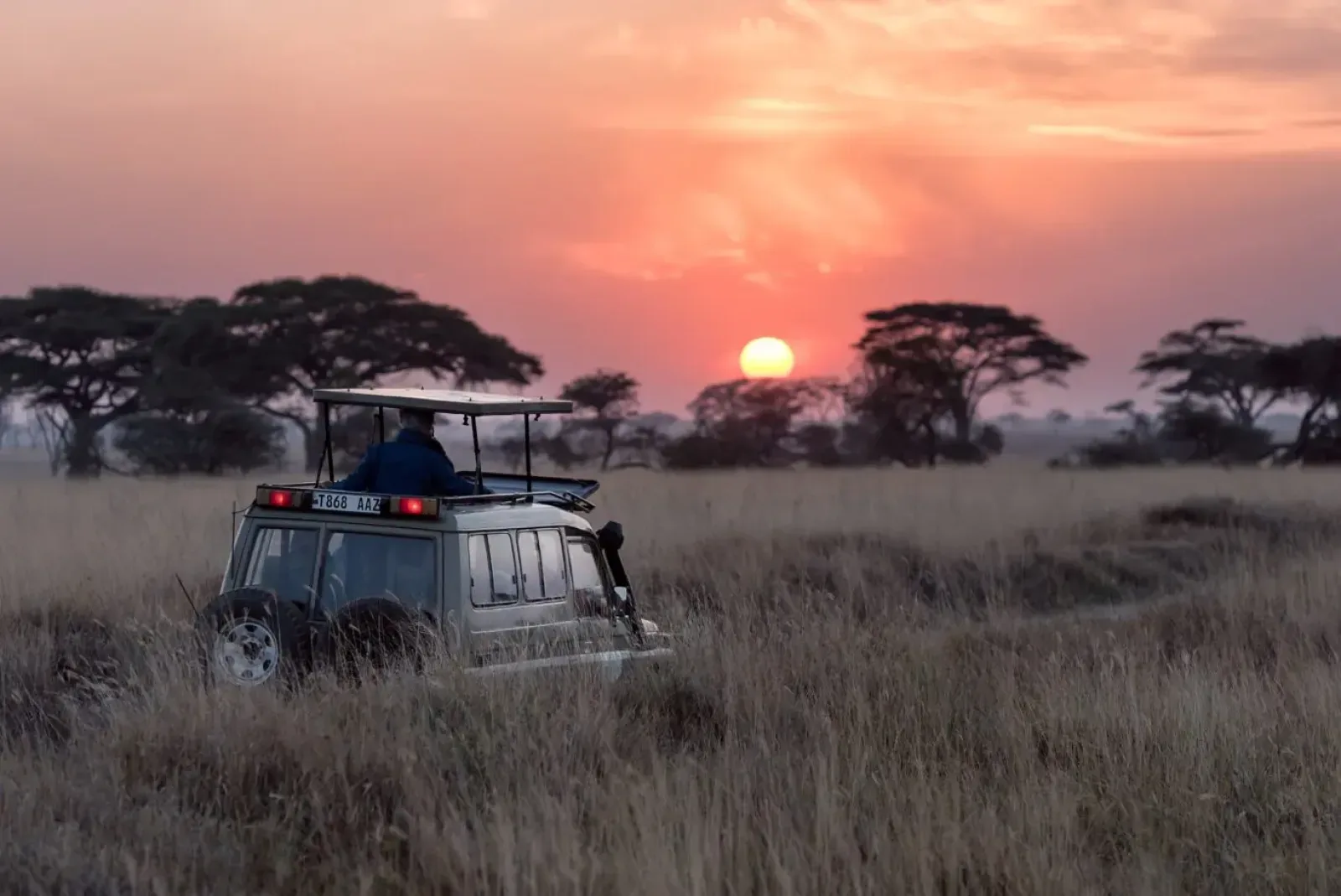 Tansania Safari und Sansibar